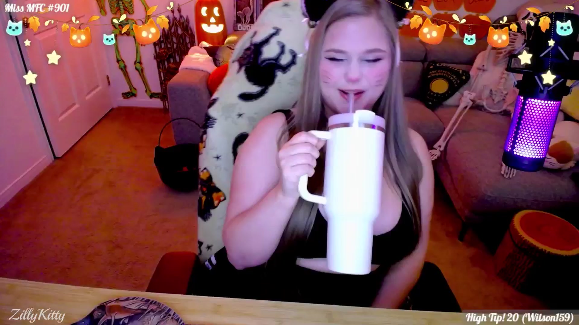 Gallery image thumbnail from ZillyKitty's myfreecams stream on, 10/29/2025, 24:02 image 9 of 20