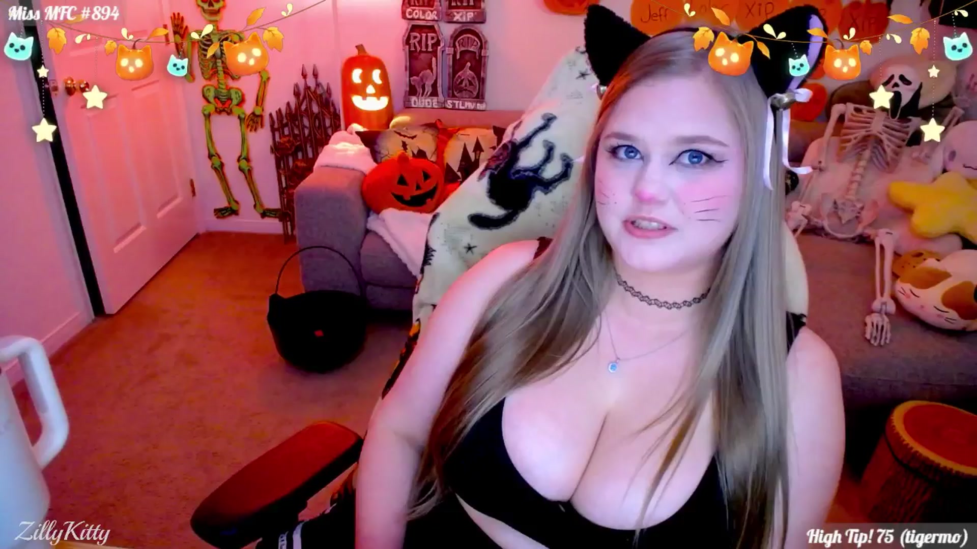 Gallery image thumbnail from ZillyKitty's myfreecams stream on, 10/29/2025, 01:19 image 17 of 20
