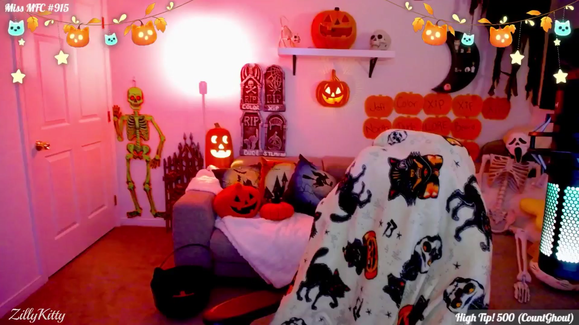 Gallery image thumbnail from ZillyKitty's myfreecams stream on, 10/30/2025, 01:50 image 6 of 20
