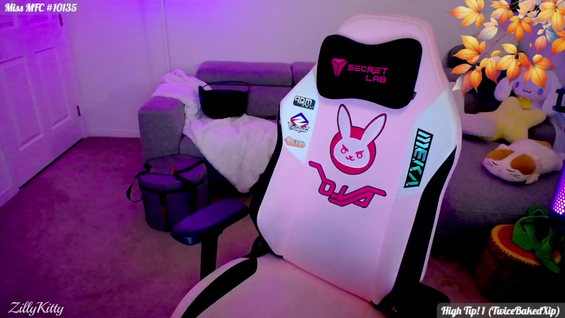 Gallery image thumbnail from ZillyKitty's myfreecams stream on, 11/08/2025, 02:09 image 1 of 20