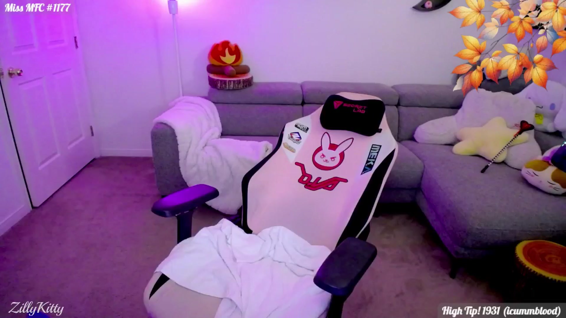 Gallery image thumbnail from ZillyKitty's myfreecams stream on, 11/09/2025, 07:46 image 6 of 20