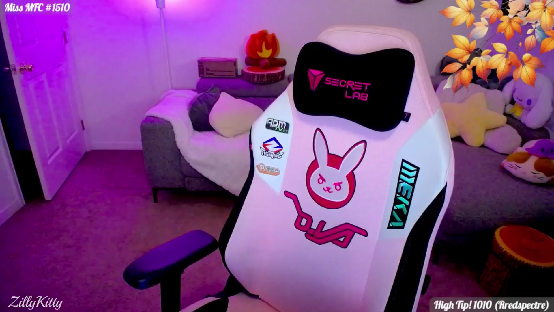 Gallery image thumbnail from ZillyKitty's myfreecams stream on, 11/15/2025, 04:12 image 14 of 20