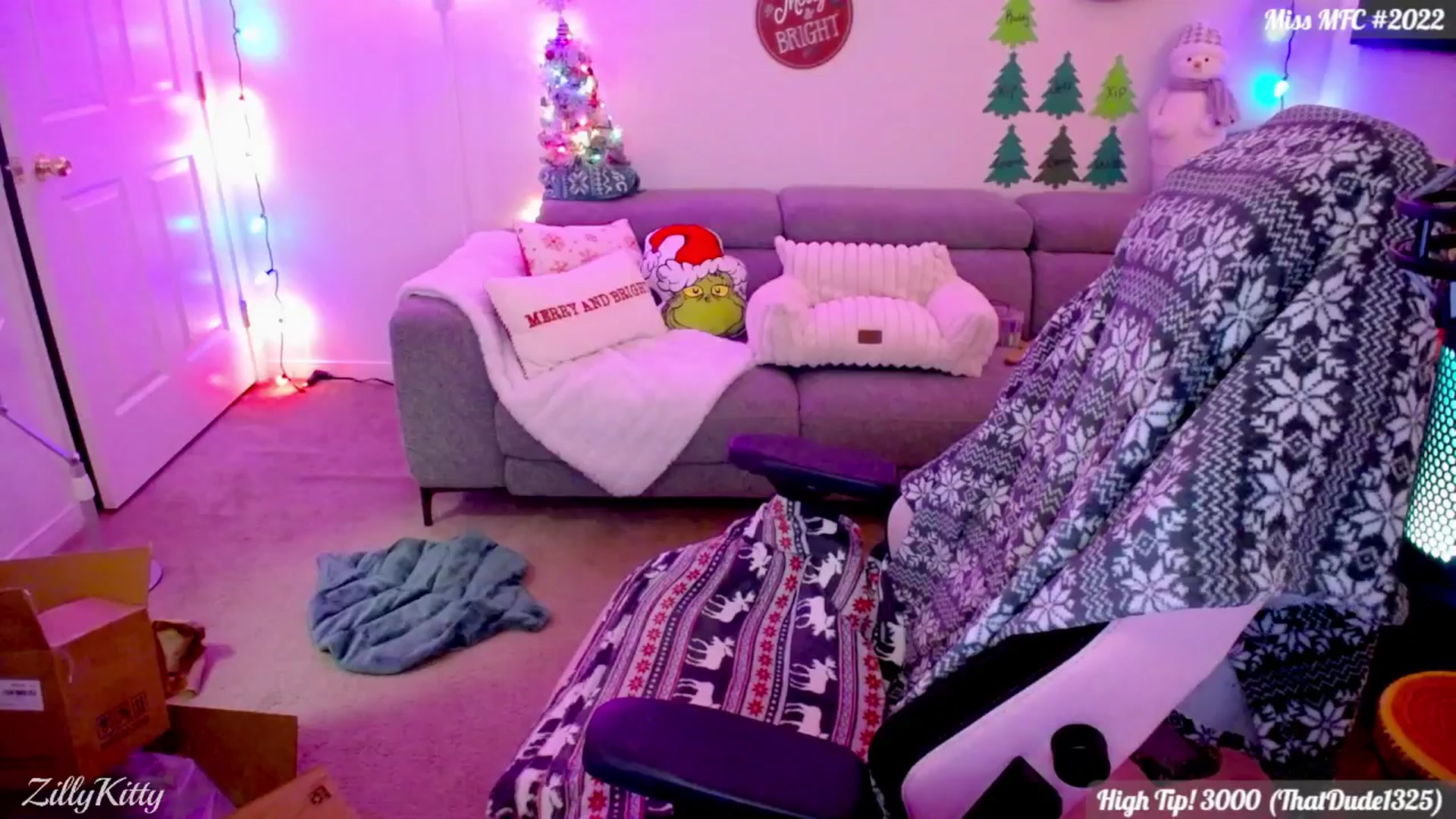 Gallery image thumbnail from ZillyKitty's myfreecams stream on, 12/28/2025, 03:24 image 13 of 20