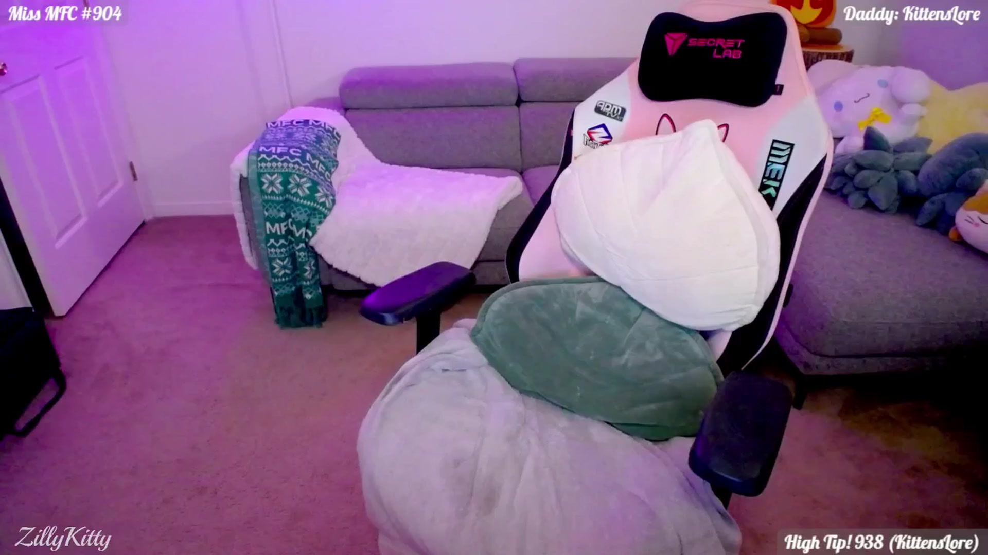 Gallery image thumbnail from ZillyKitty's myfreecams stream on, 03/28/2026, 24:02 image 11 of 20
