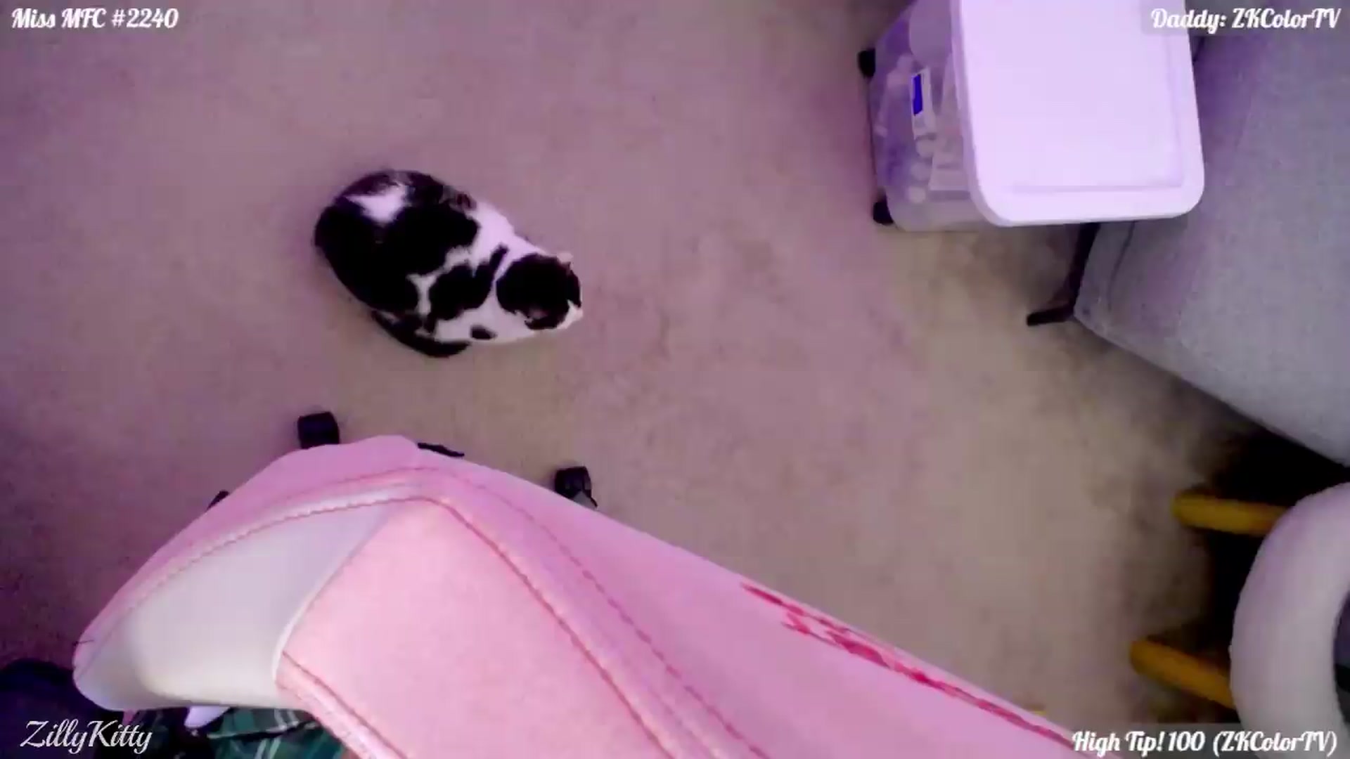 Gallery image thumbnail from ZillyKitty's myfreecams stream on, 08/23/2026, 24:00 image 8 of 20
