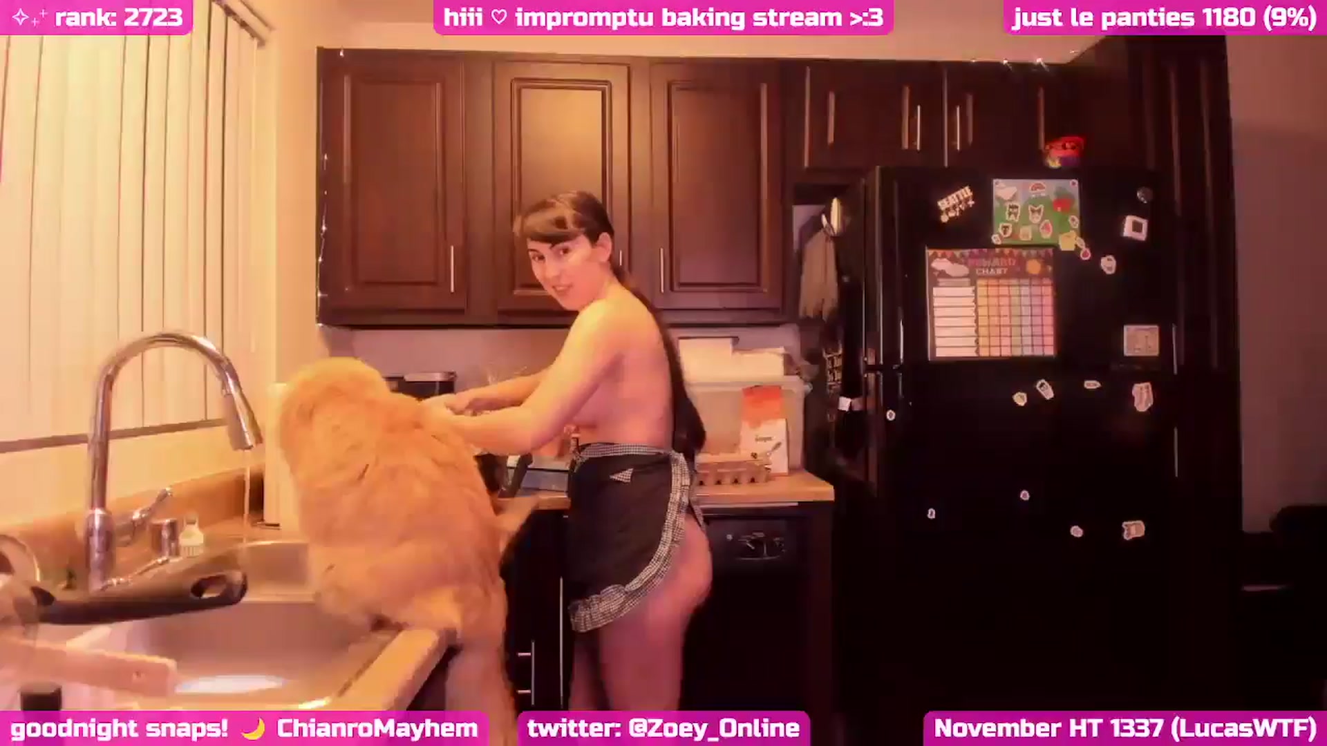 Gallery image thumbnail from Zobot's myfreecams stream on, 11/28/2024, 08:32 image 12 of 20