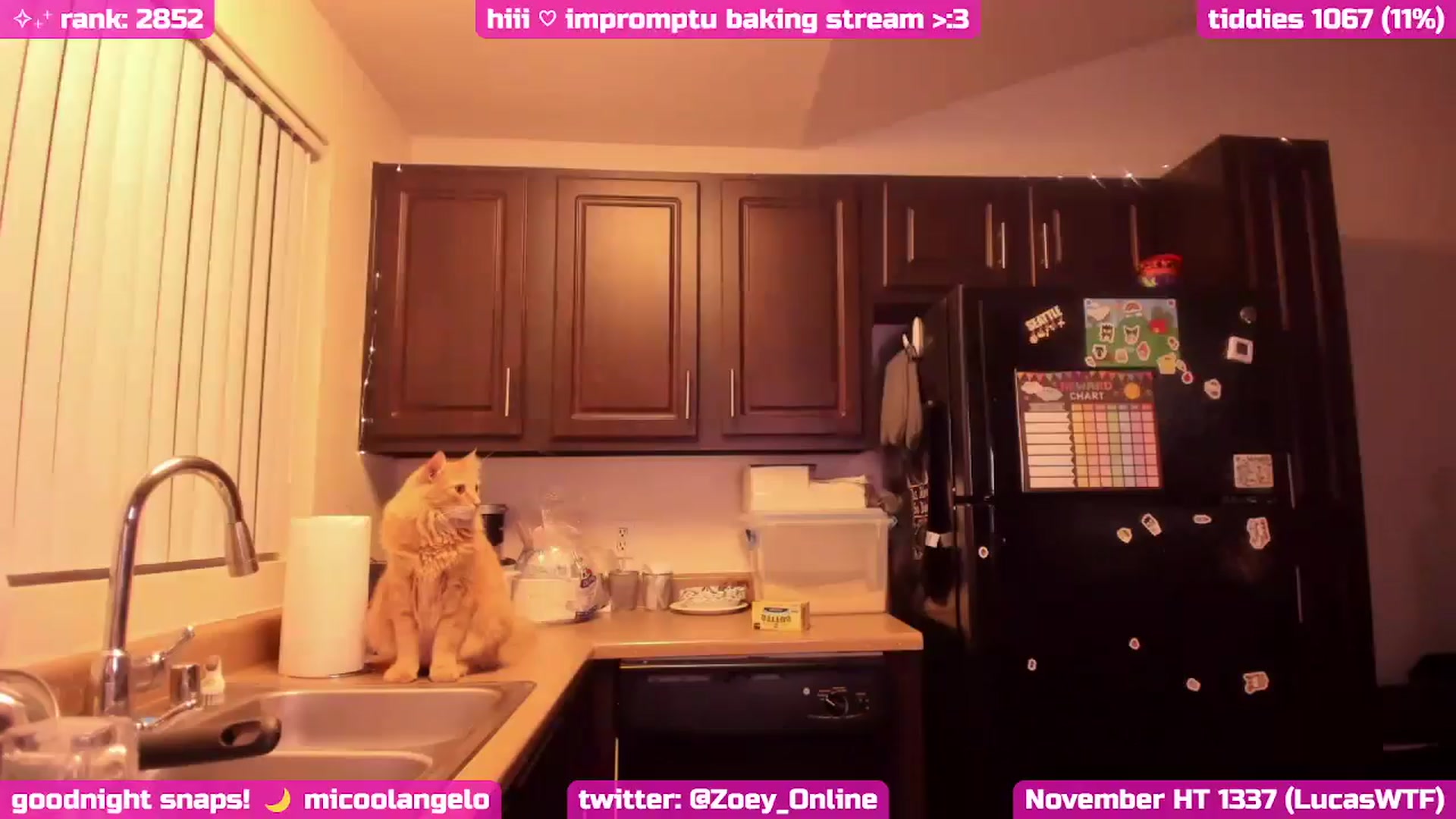 Gallery image thumbnail from Zobot's myfreecams stream on, 11/28/2024, 08:32 image 2 of 20