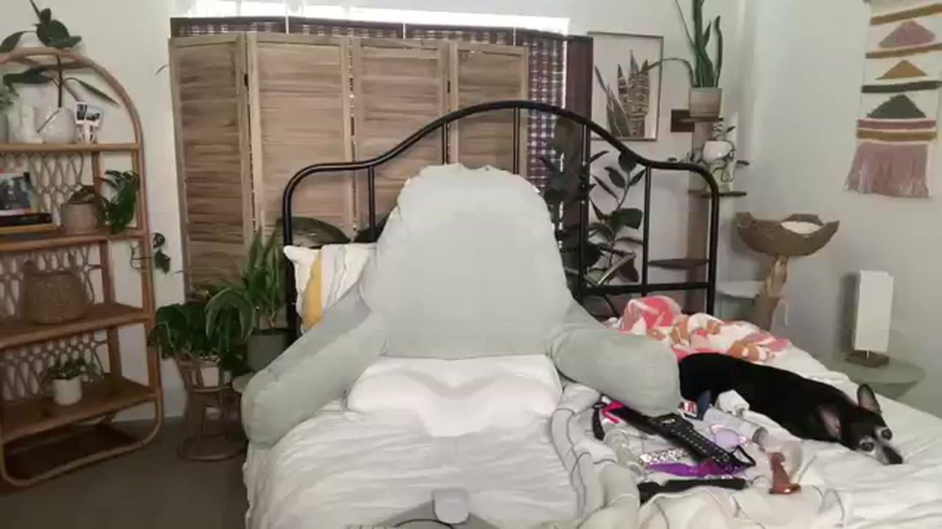 Gallery image thumbnail from ZoeyLee94's myfreecams stream on, 07/25/2023, 18:14 image 19 of 20