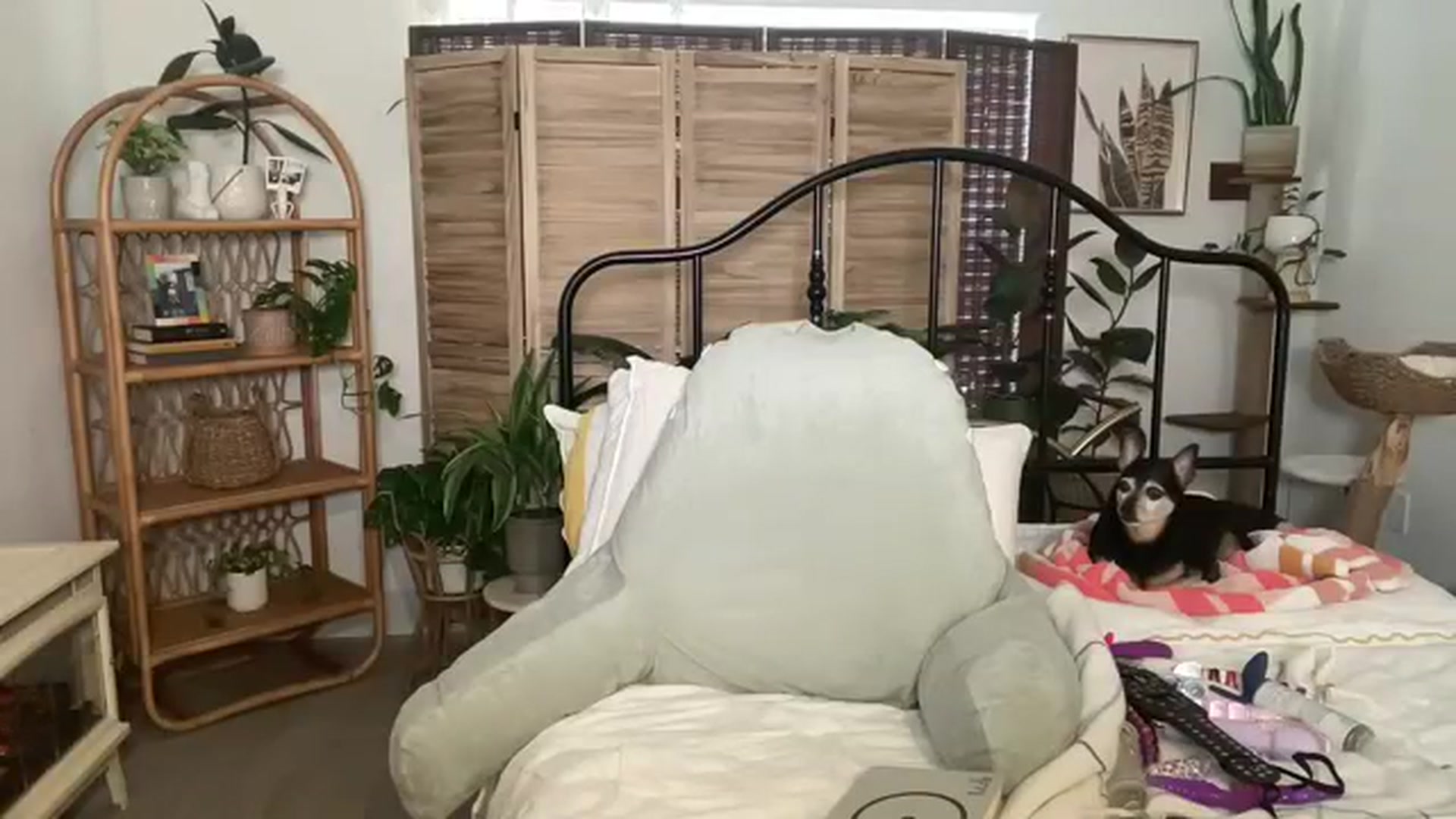 Gallery image thumbnail from ZoeyLee94's myfreecams stream on, 07/25/2023, 18:14 image 8 of 20