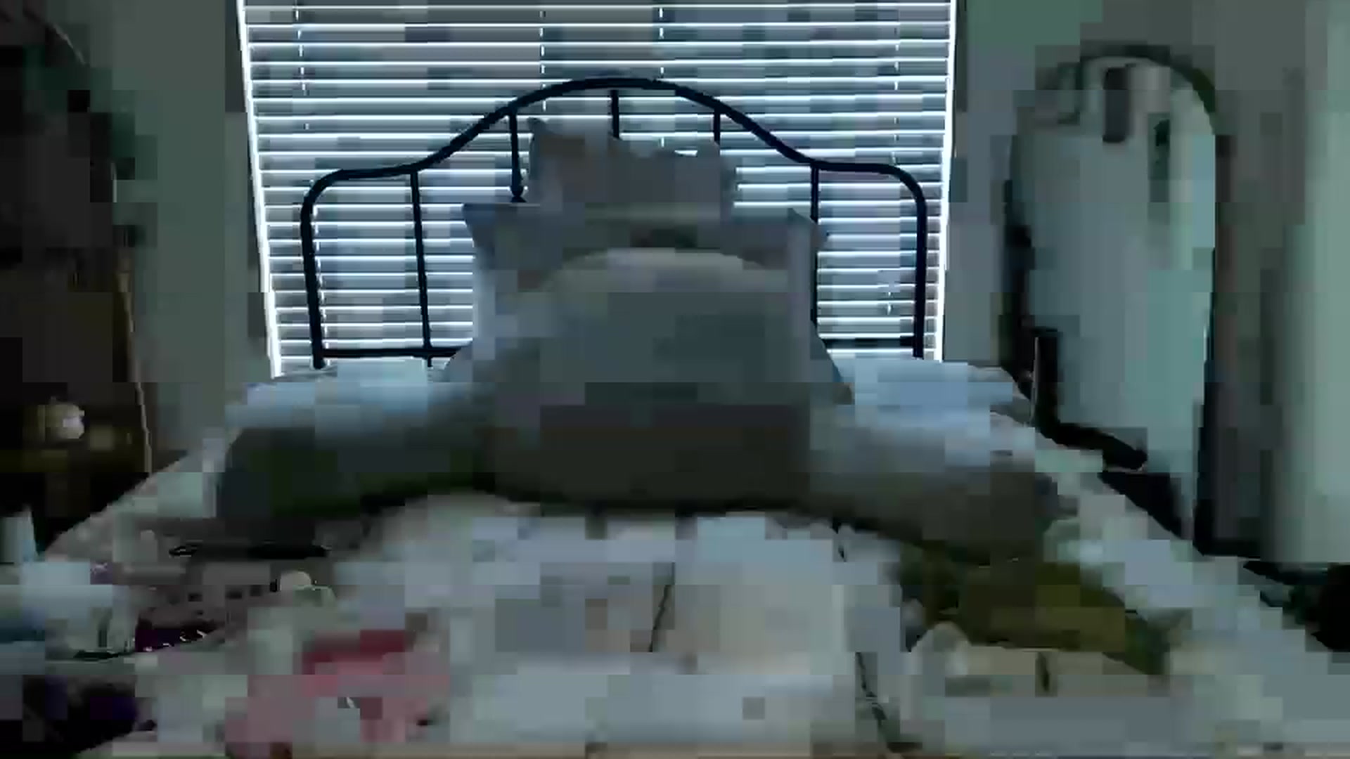 Gallery image thumbnail from ZoeyLee94's myfreecams stream on, 11/02/2023, 23:13 image 5 of 20