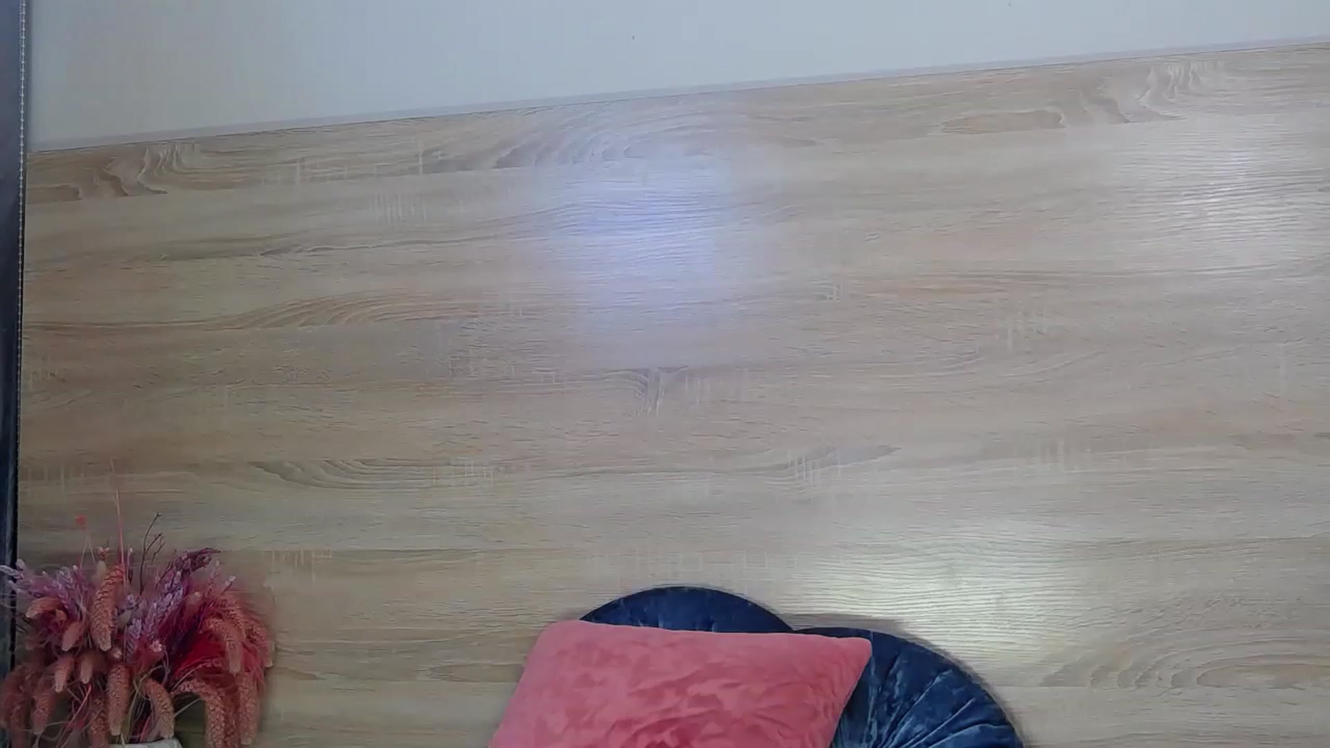 Gallery image thumbnail from Zofia_Zozo's myfreecams stream on, 11/14/2022, 15:30 image 15 of 20