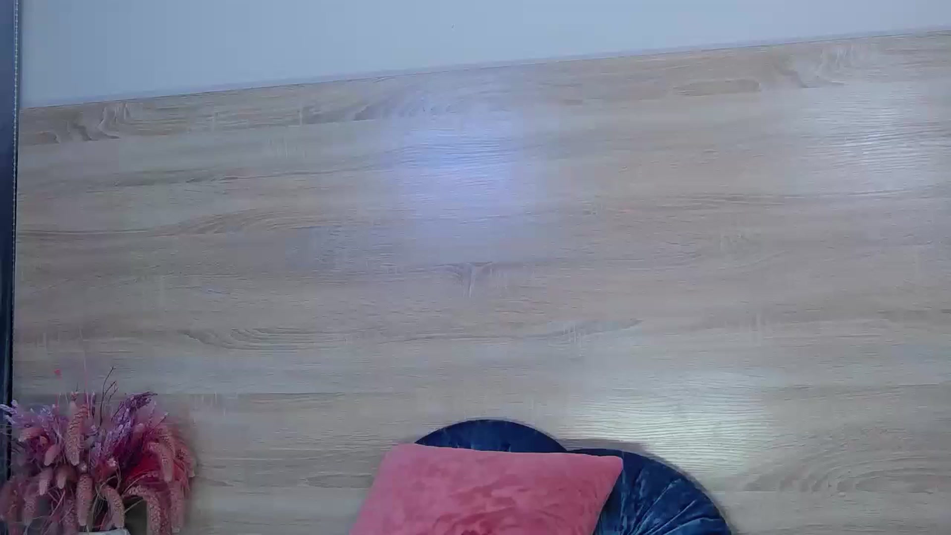 Gallery image thumbnail from Zofia_Zozo's myfreecams stream on, 11/14/2022, 15:30 image 19 of 20