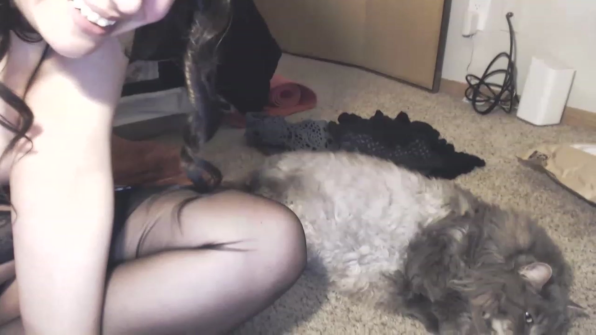 Gallery image thumbnail from ZolaRose's myfreecams stream on, 06/05/2023, 06:54 image 3 of 20