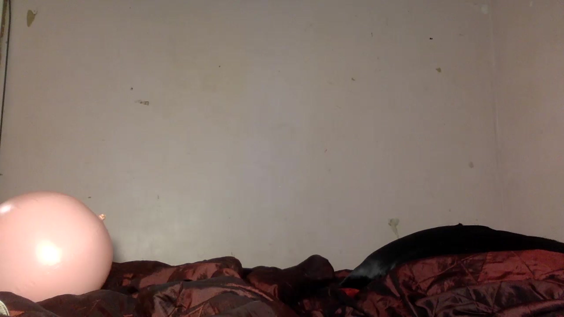 Gallery image thumbnail from Zoysia's myfreecams stream on, 07/16/2024, 08:51 image 1 of 20