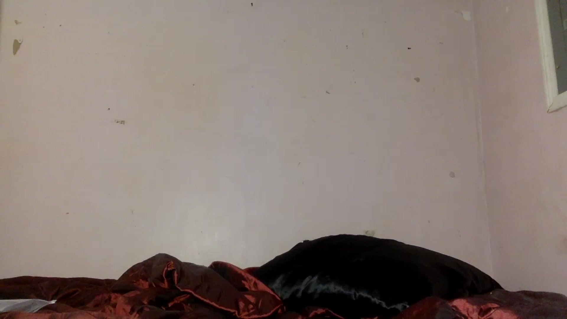 Gallery image thumbnail from Zoysia's myfreecams stream on, 07/20/2024, 15:03 image 15 of 20
