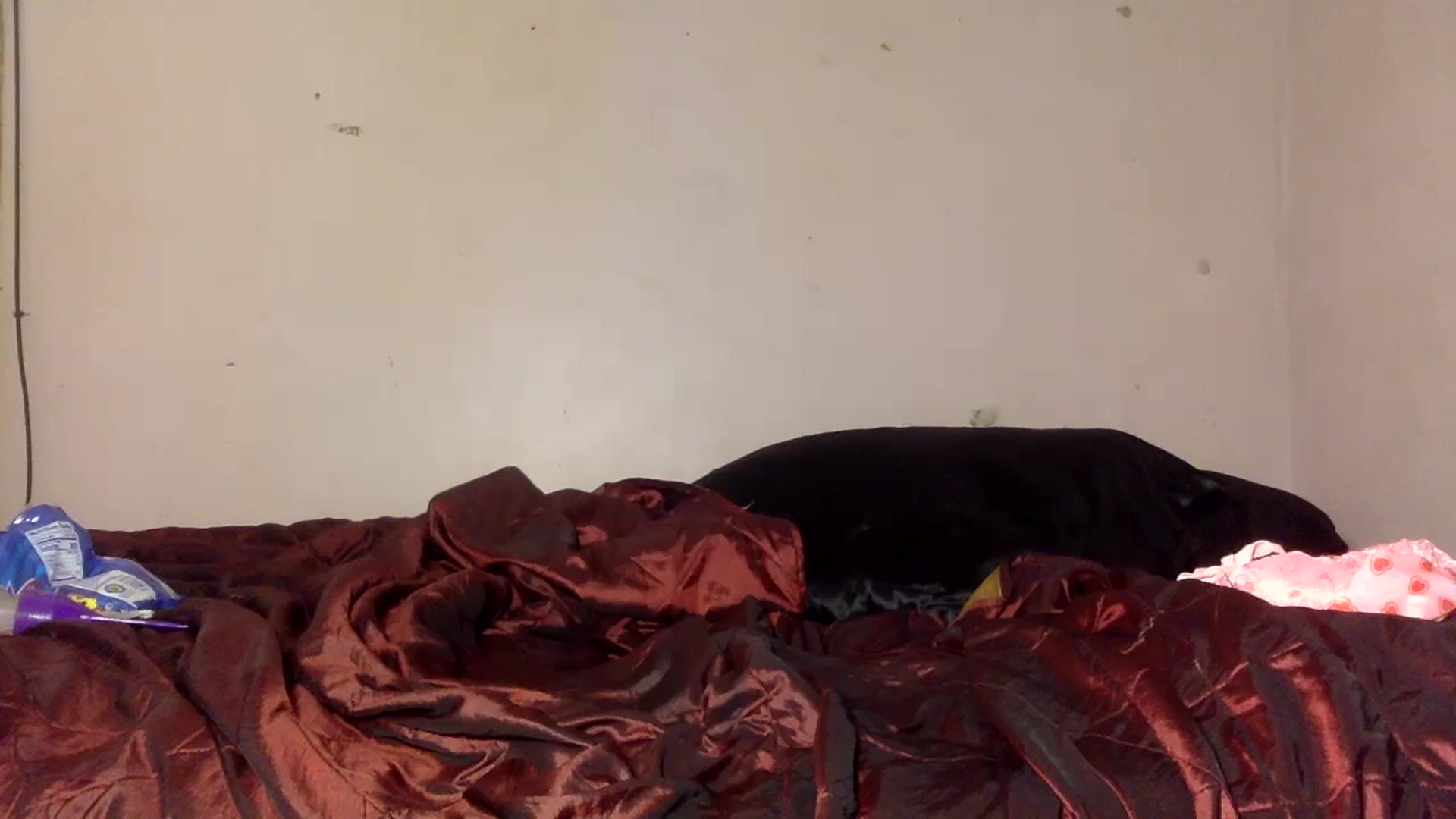 Gallery image thumbnail from Zoysia's myfreecams stream on, 07/20/2024, 15:03 image 4 of 20