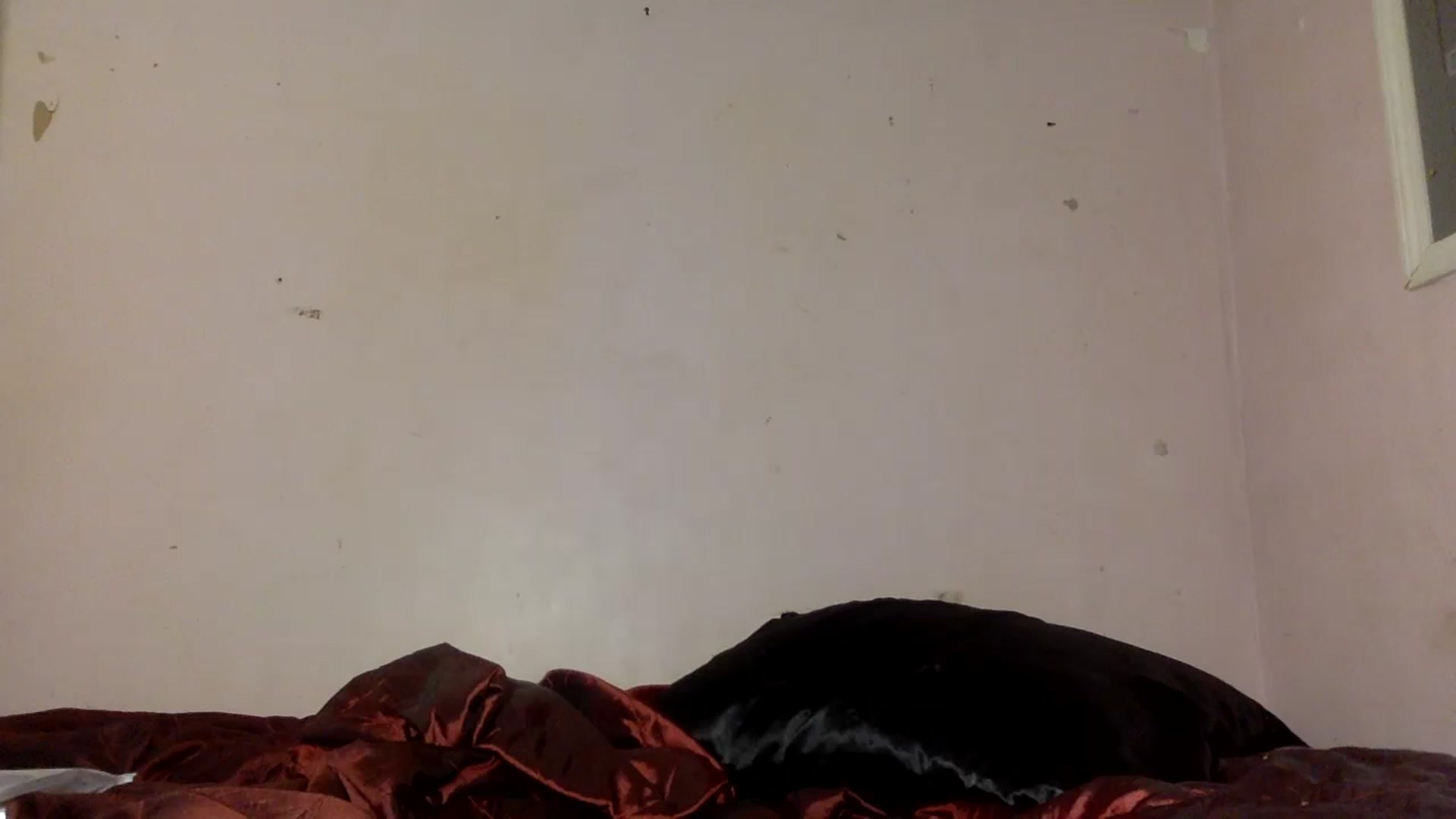 Gallery image thumbnail from Zoysia's myfreecams stream on, 07/20/2024, 15:03 image 13 of 20