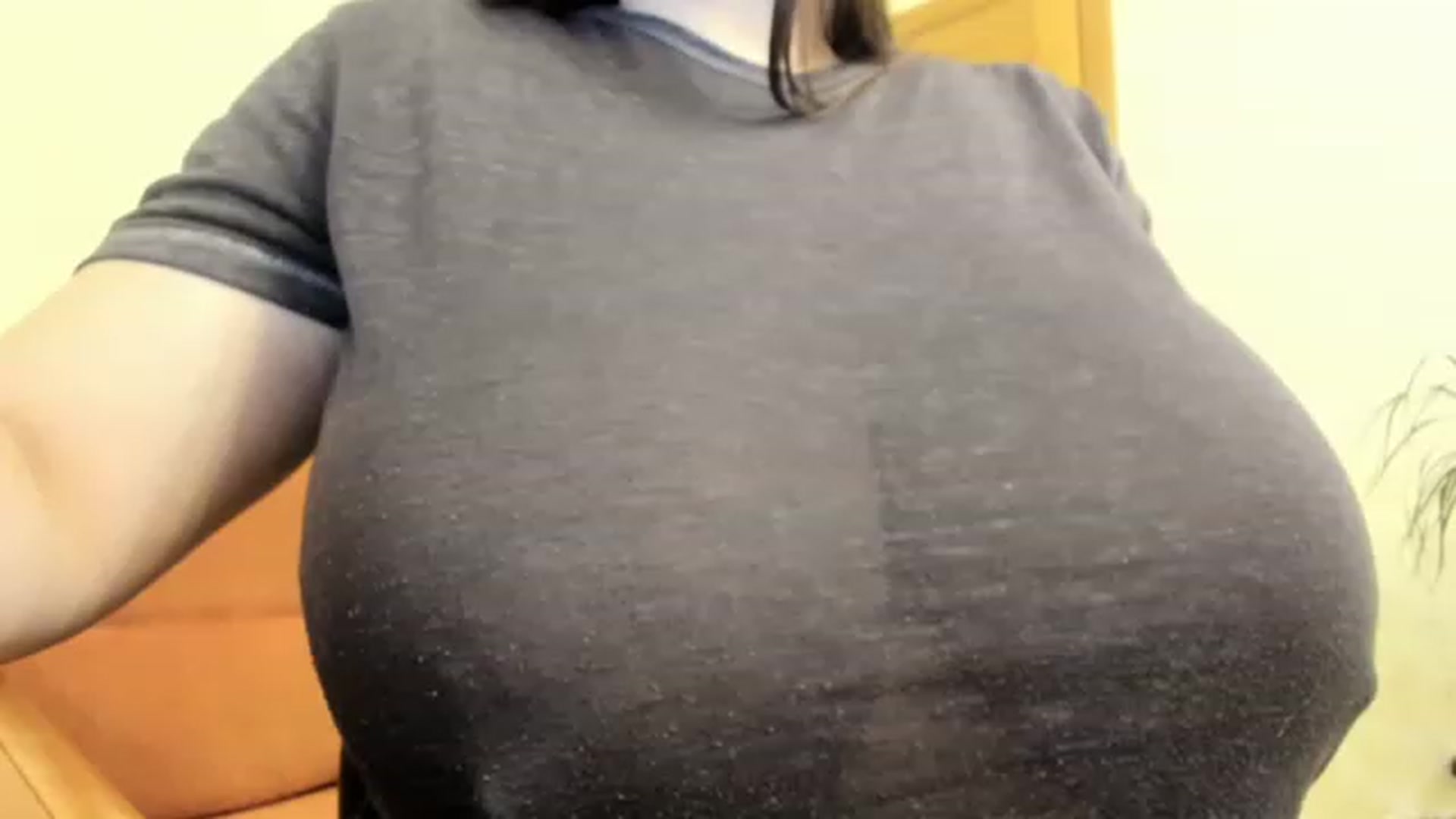 Gallery image thumbnail from aAntoninAa's myfreecams stream on, 12/10/2022, 17:12 image 19 of 20