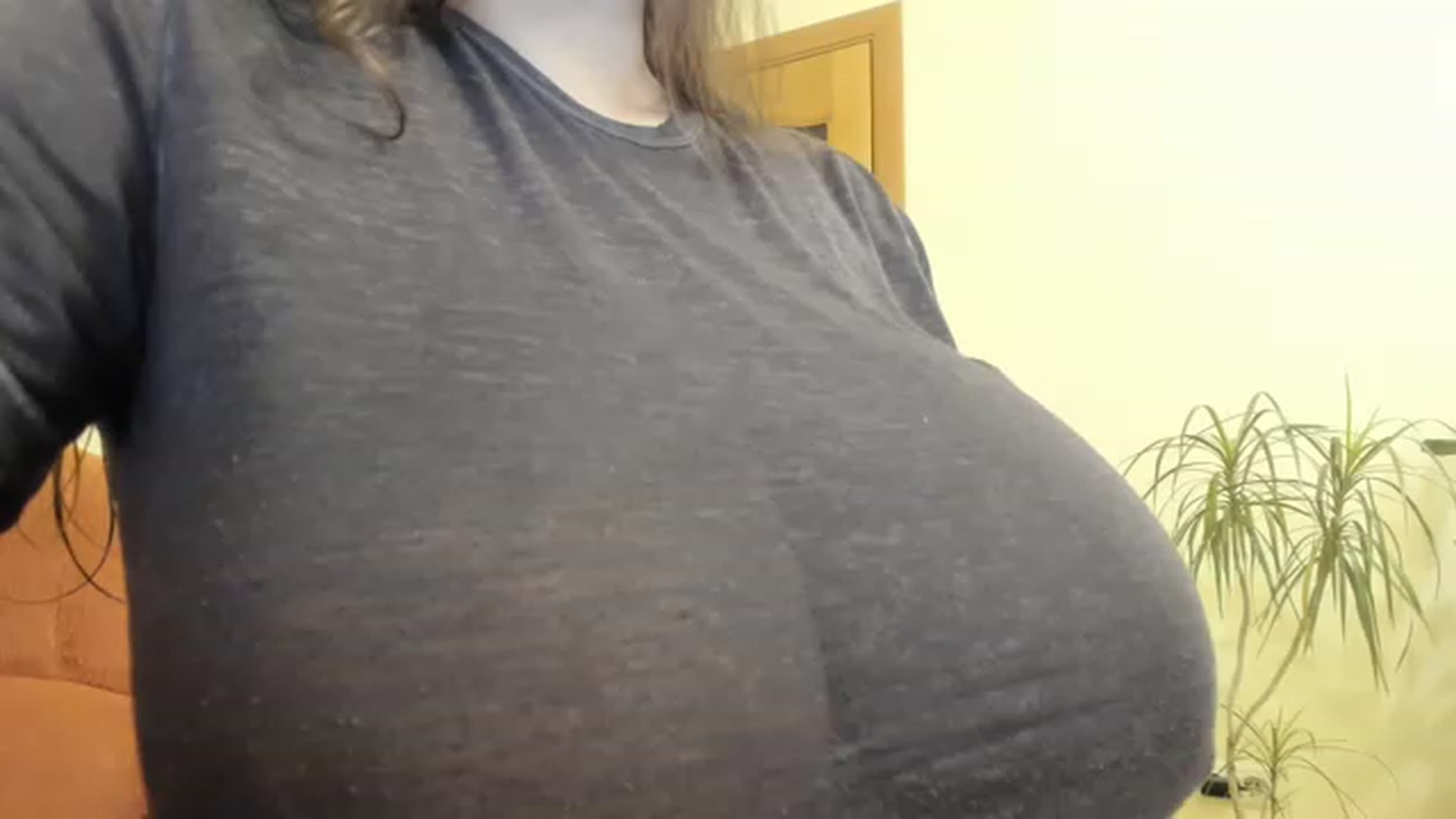 Gallery image thumbnail from aAntoninAa's myfreecams stream on, 12/11/2022, 17:41 image 9 of 20