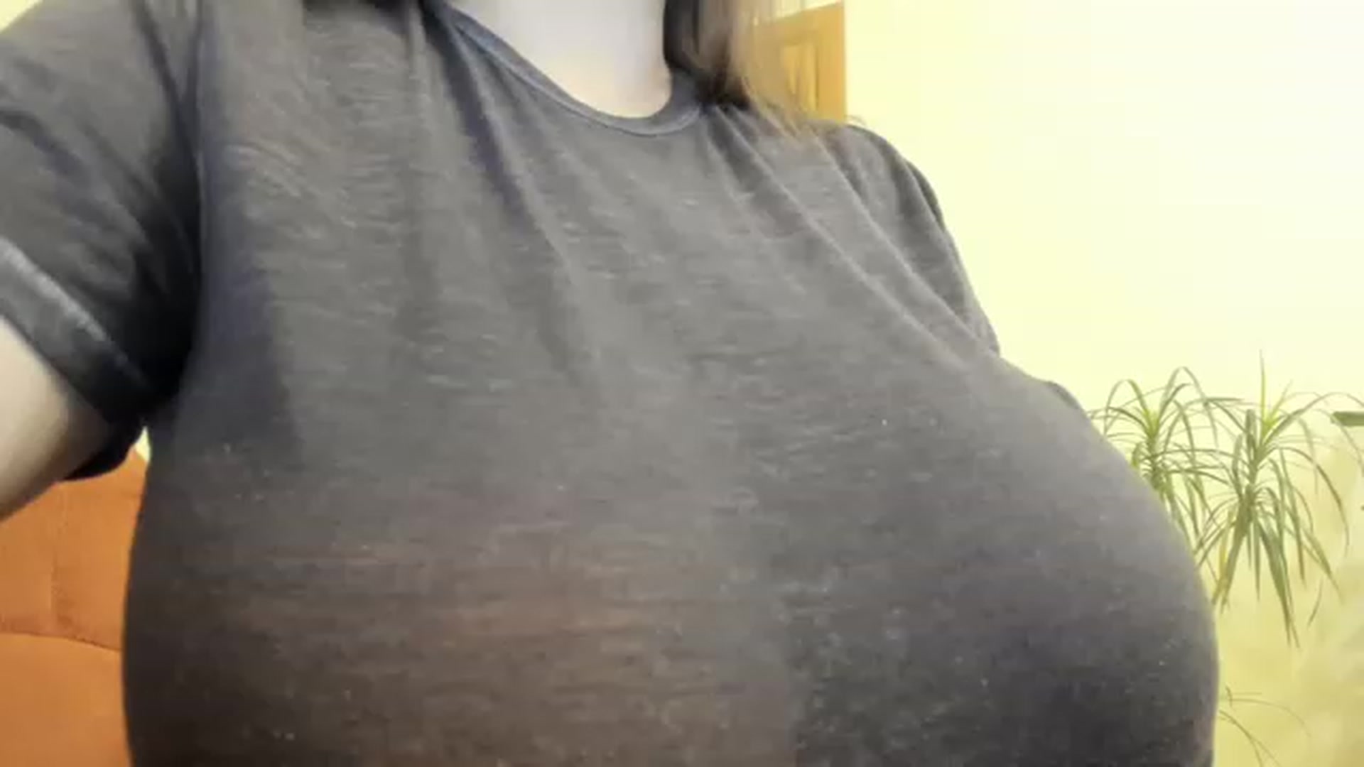 Gallery image thumbnail from aAntoninAa's myfreecams stream on, 12/11/2022, 17:41 image 8 of 20