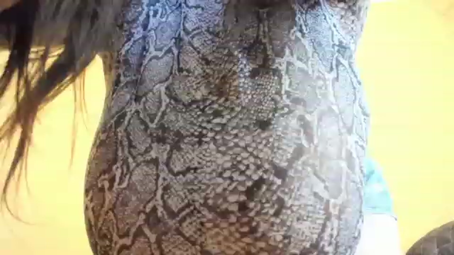 Gallery image thumbnail from aAntoninAa's myfreecams stream on, 02/12/2023, 15:45 image 20 of 20