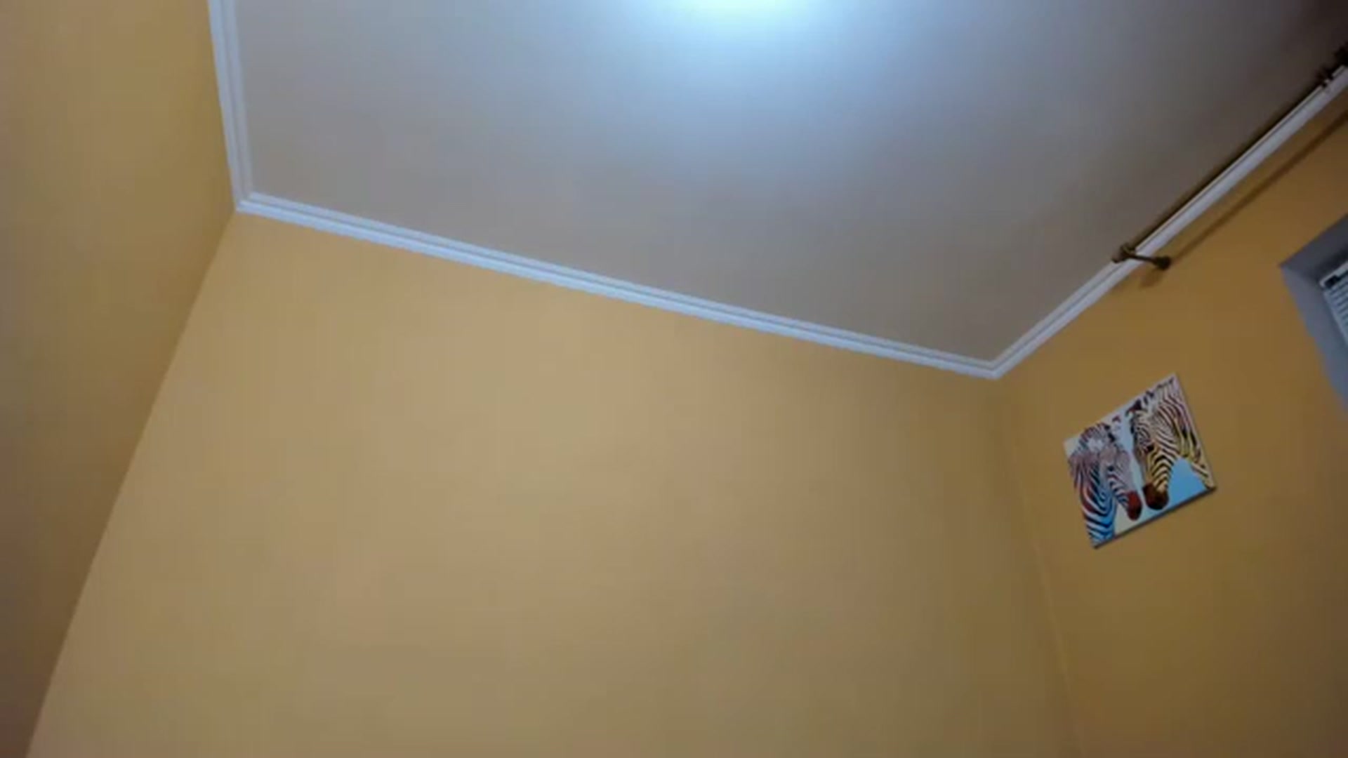 Gallery image thumbnail from aAntoninAa's myfreecams stream on, 02/26/2023, 21:52 image 8 of 20
