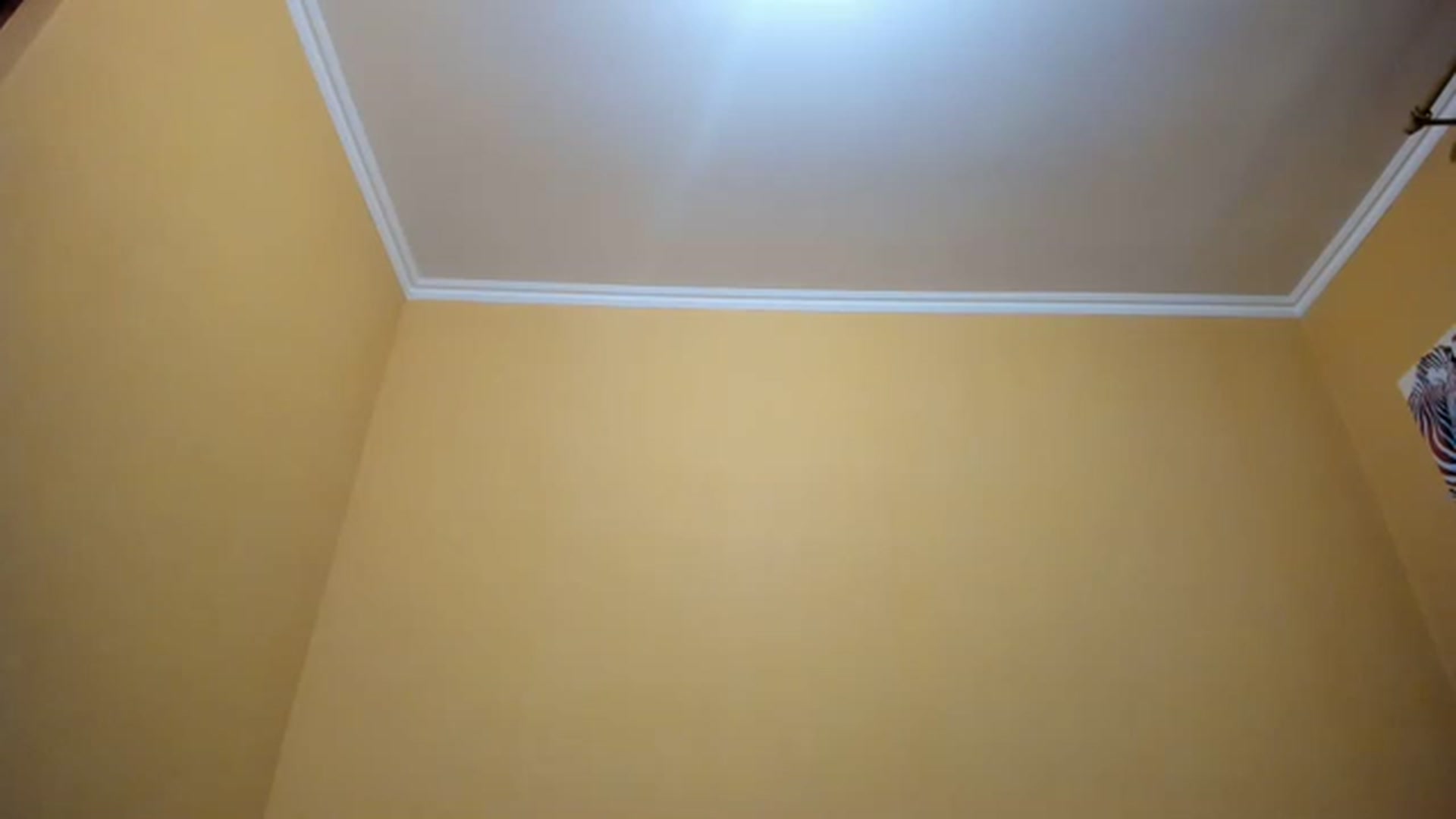 Gallery image thumbnail from aAntoninAa's myfreecams stream on, 03/06/2023, 16:36 image 3 of 20