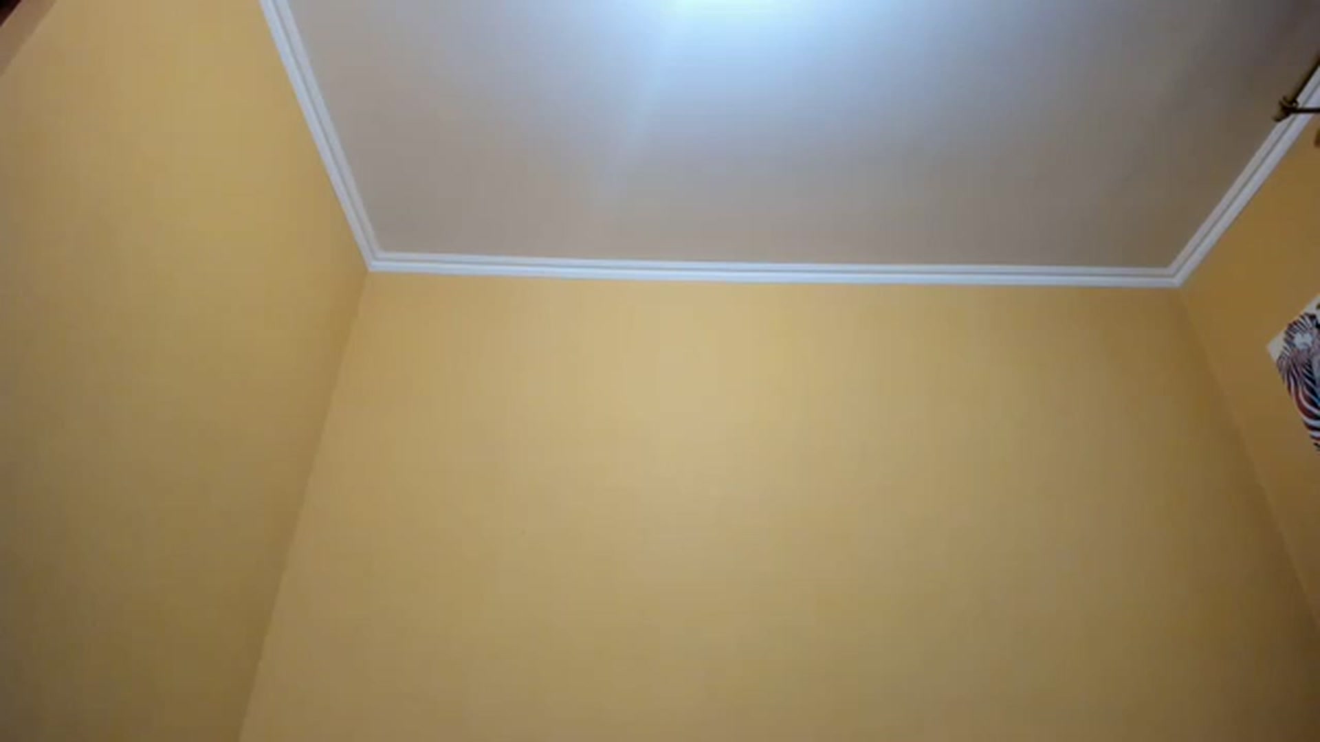 Gallery image thumbnail from aAntoninAa's myfreecams stream on, 03/06/2023, 16:36 image 2 of 20