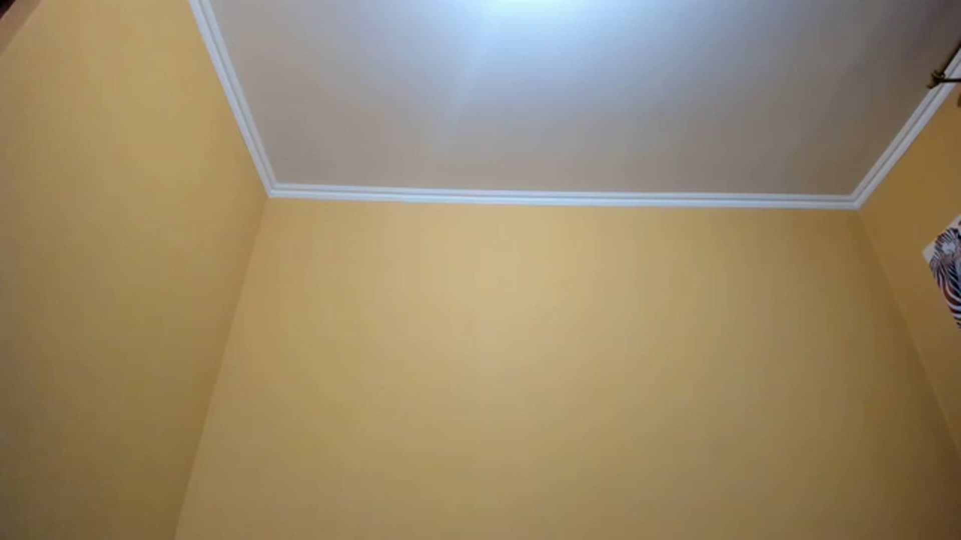 Gallery image thumbnail from aAntoninAa's myfreecams stream on, 03/06/2023, 16:36 image 1 of 20