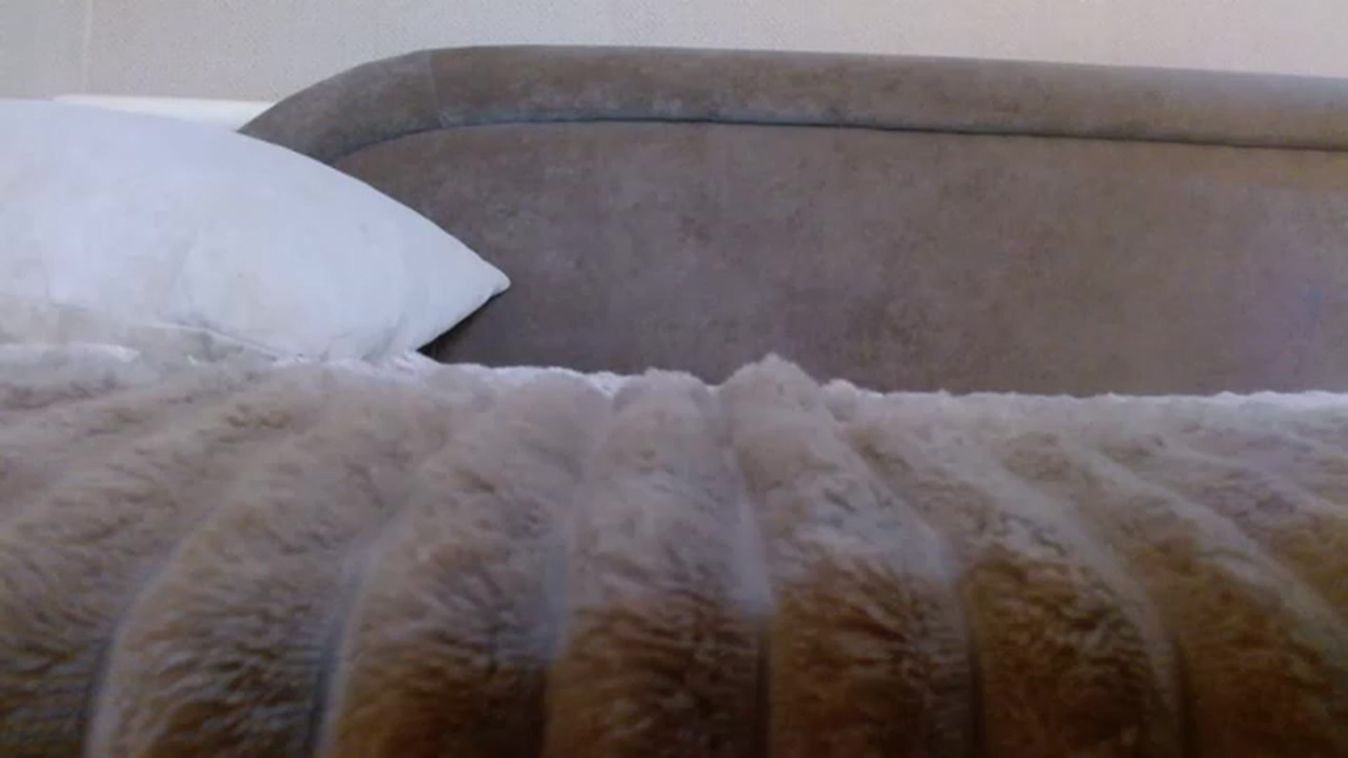 Gallery image thumbnail from aAntoninAa's myfreecams stream on, 05/20/2023, 11:39 image 17 of 20