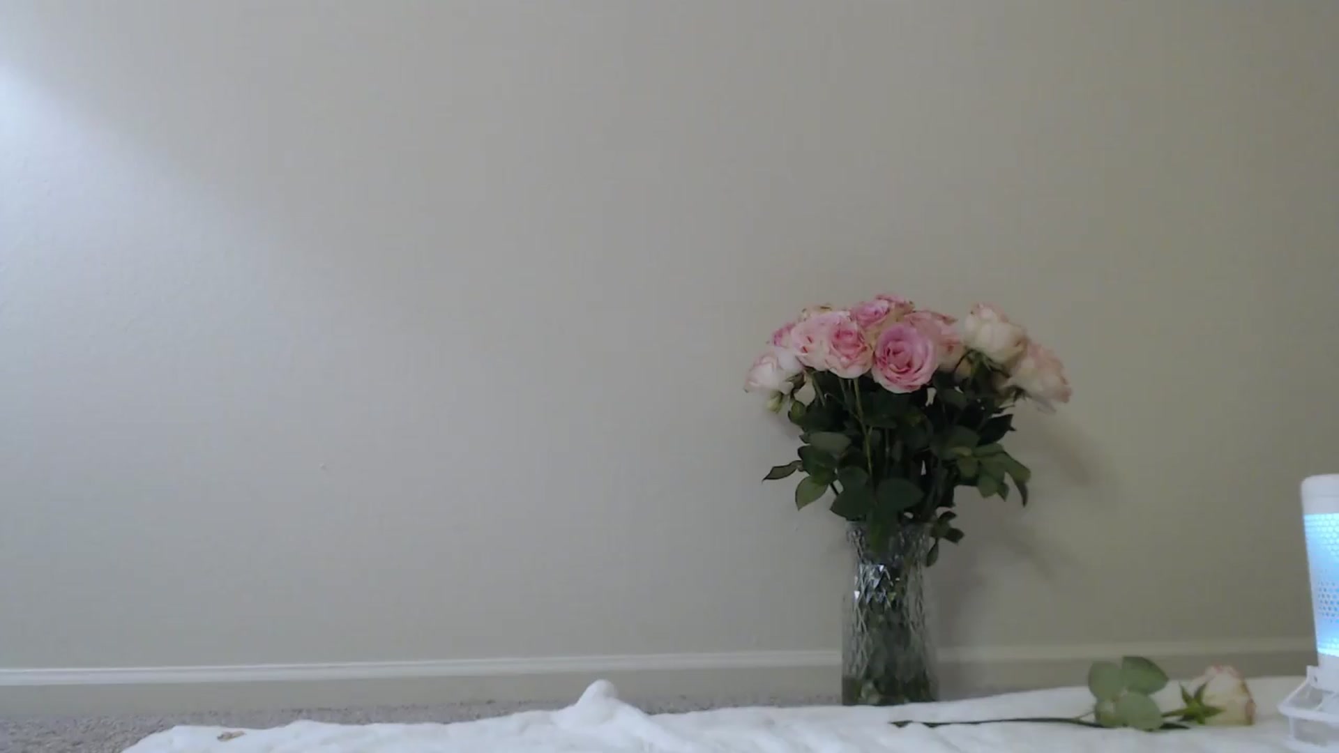 Gallery image thumbnail from a_name_'s myfreecams stream on, 05/19/2026, 04:24 image 19 of 20