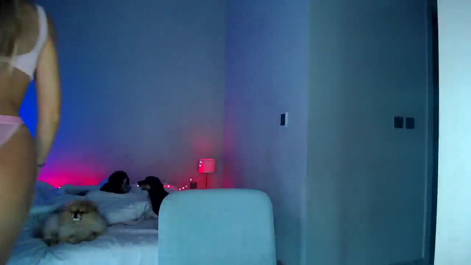 Gallery image thumbnail from aaaaaaaaaaaay's myfreecams stream on, 02/18/2026, 06:05 image 14 of 20