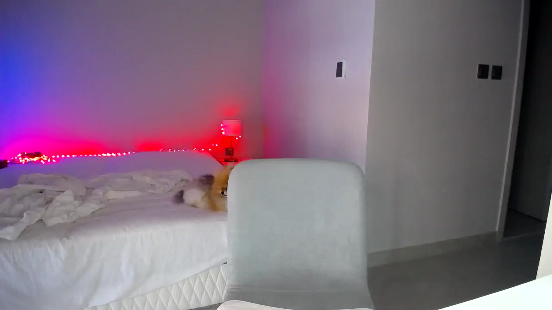 Gallery image thumbnail from aaaaaaaaaaaay's myfreecams stream on, 03/28/2026, 07:36 image 17 of 20