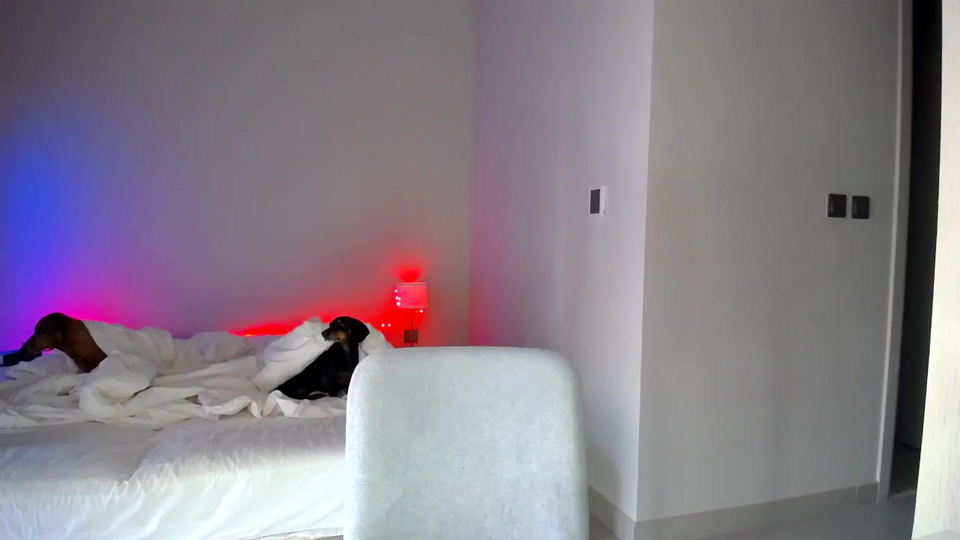 Gallery image thumbnail from aaaaaaaaaaaay's myfreecams stream on, 04/07/2026, 05:55 image 2 of 20