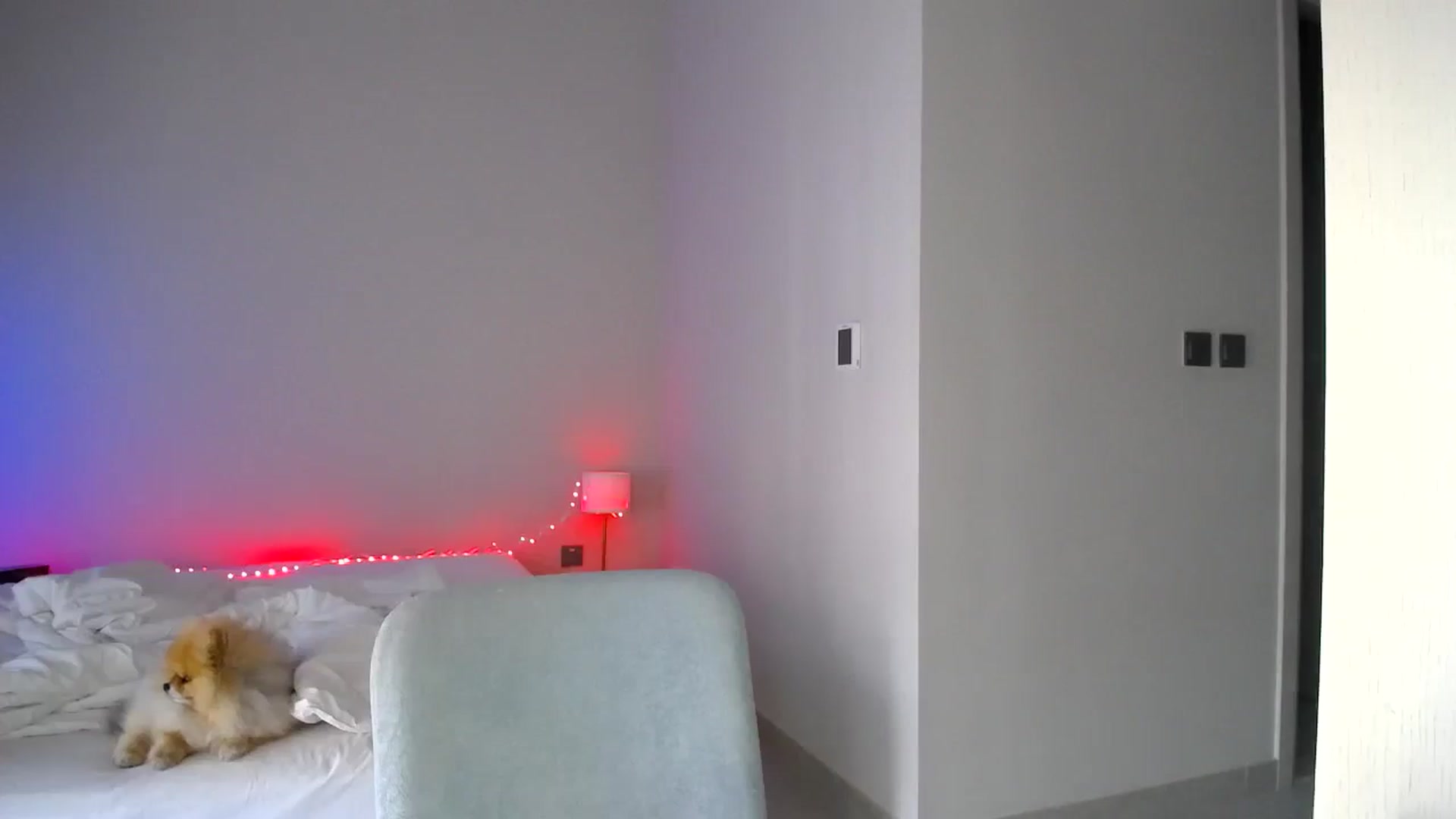 Gallery image thumbnail from aaaaaaaaaaaay's myfreecams stream on, 04/20/2026, 05:39 image 18 of 20