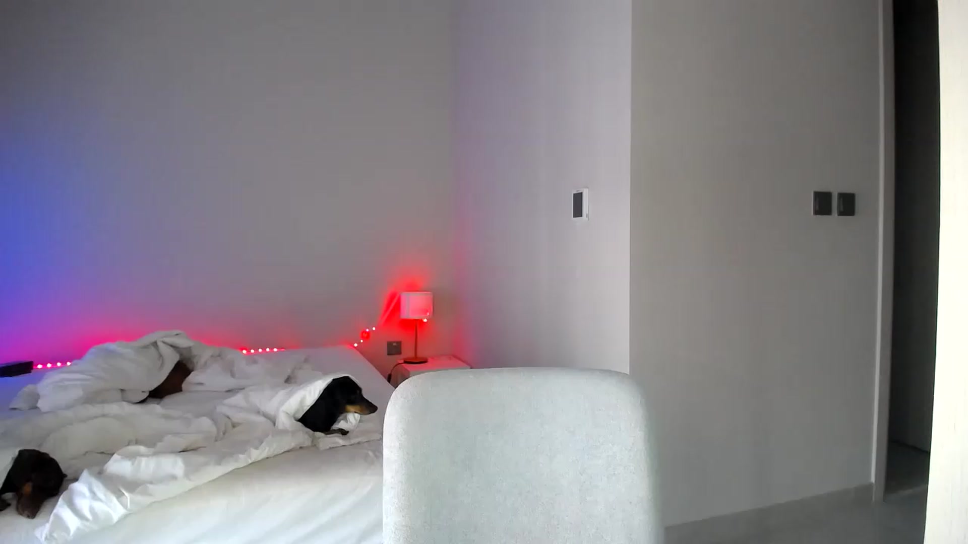 Gallery image thumbnail from aaaaaaaaaaaay's myfreecams stream on, 05/19/2026, 05:40 image 11 of 20