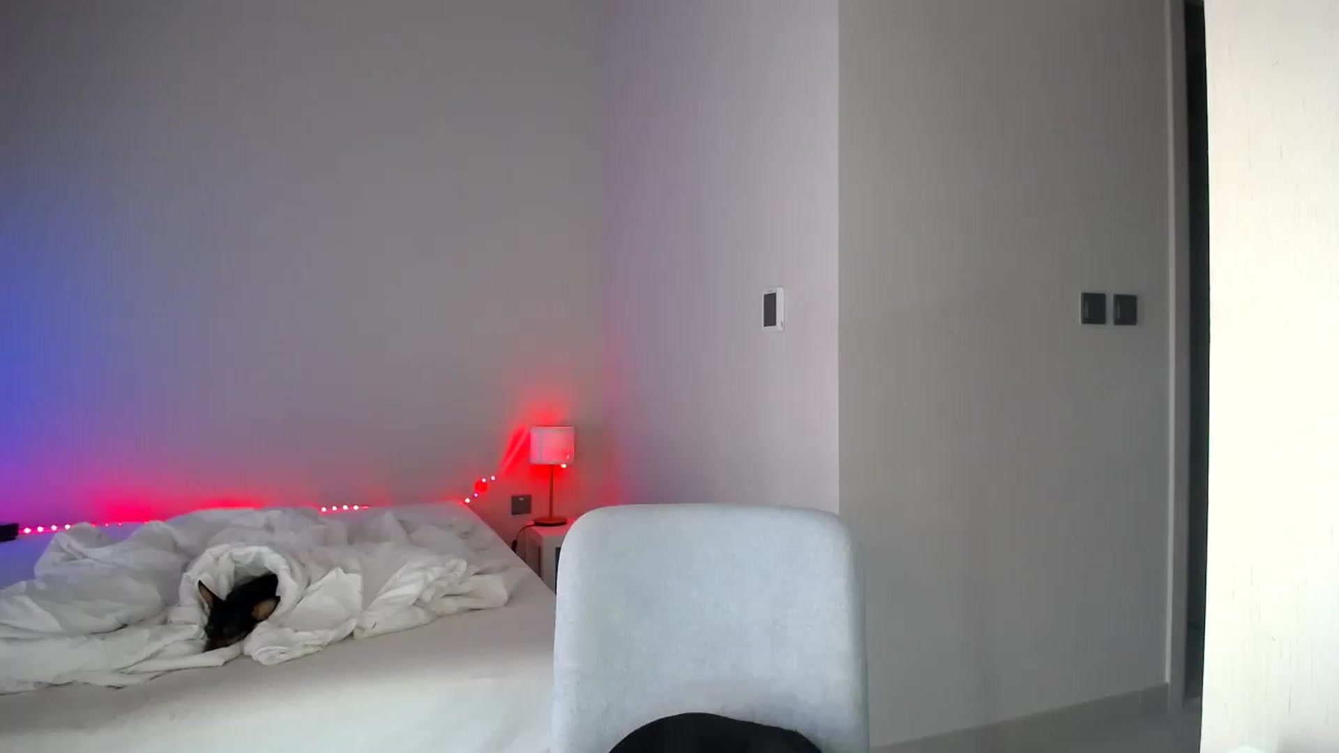 Gallery image thumbnail from aaaaaaaaaaaay's myfreecams stream on, 05/20/2026, 05:46 image 6 of 20