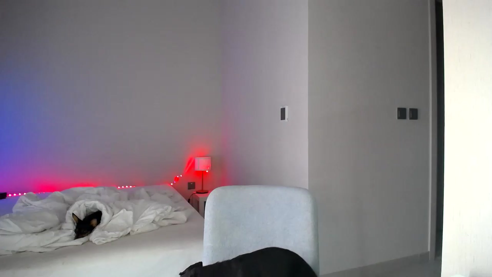 Gallery image thumbnail from aaaaaaaaaaaay's myfreecams stream on, 05/20/2026, 05:46 image 5 of 20