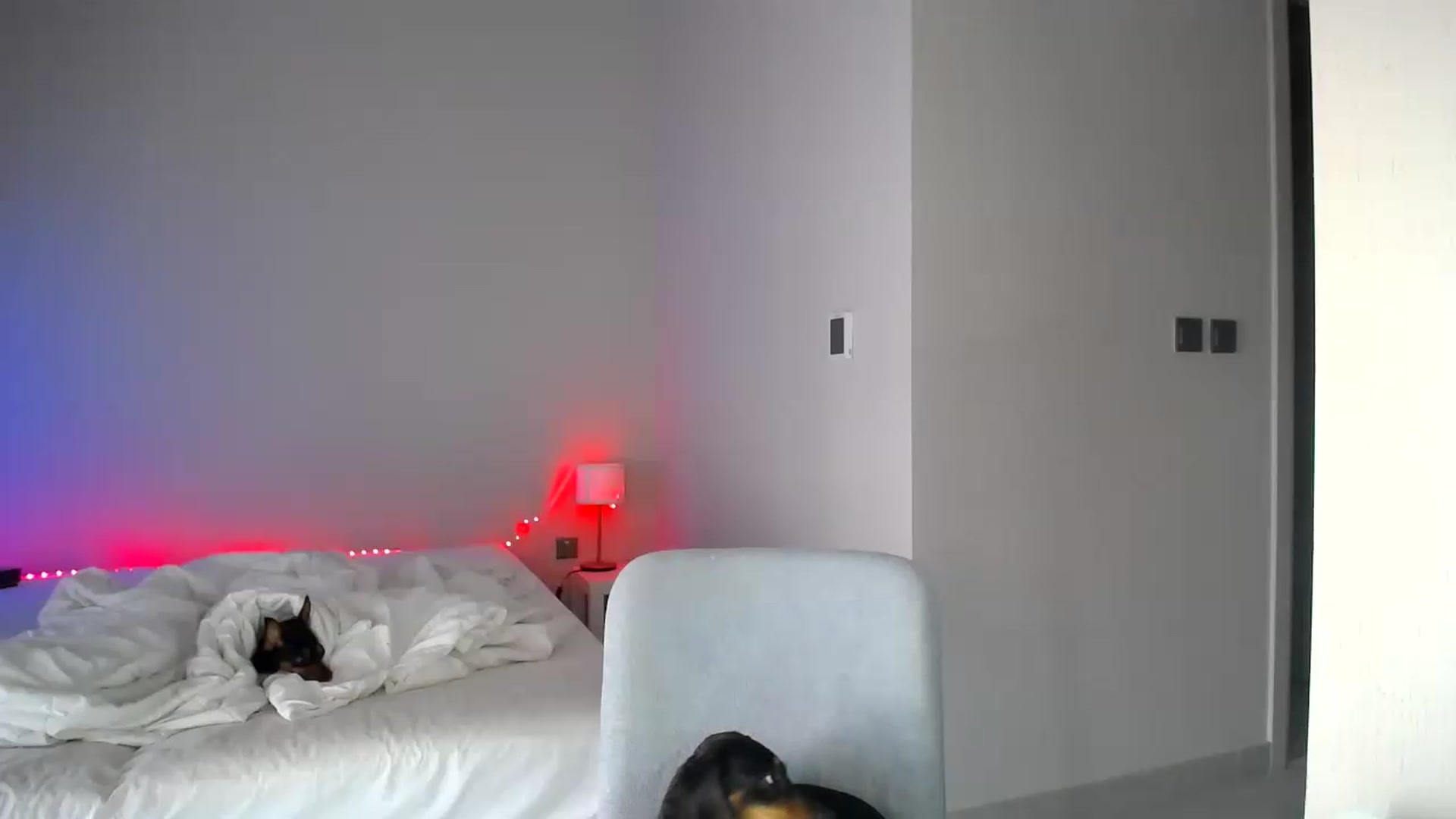 Gallery image thumbnail from aaaaaaaaaaaay's myfreecams stream on, 05/20/2026, 05:46 image 4 of 20