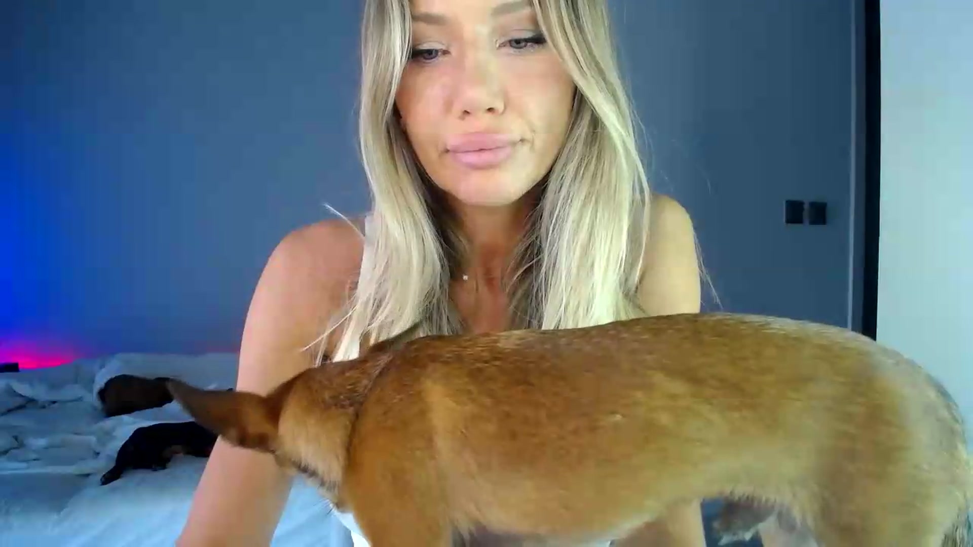 Gallery image thumbnail from aaaaaaaaaaaay's myfreecams stream on, 06/15/2026, 05:55 image 15 of 20