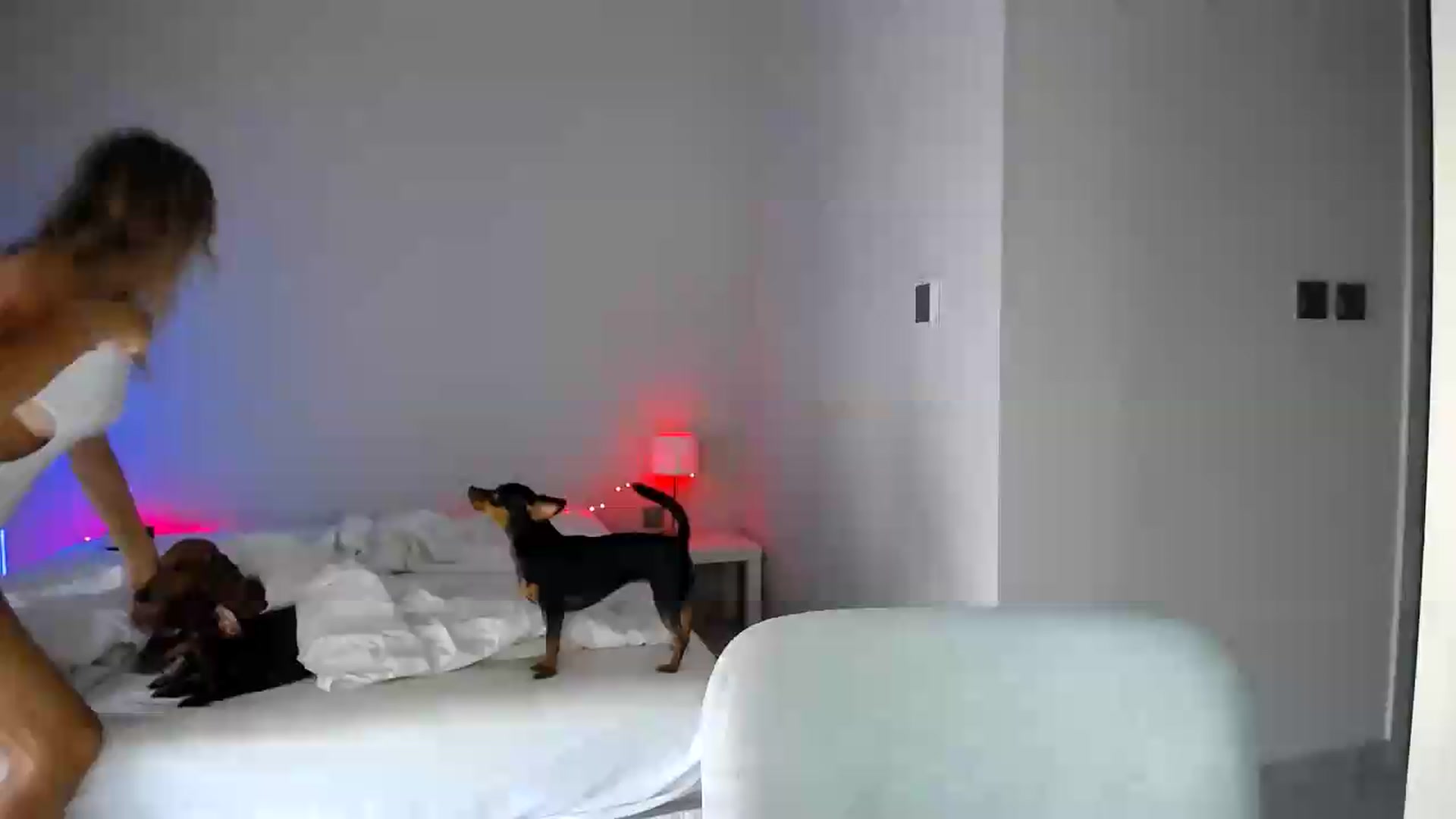 Gallery image thumbnail from aaaaaaaaaaaay's myfreecams stream on, 06/19/2026, 06:04 image 13 of 20