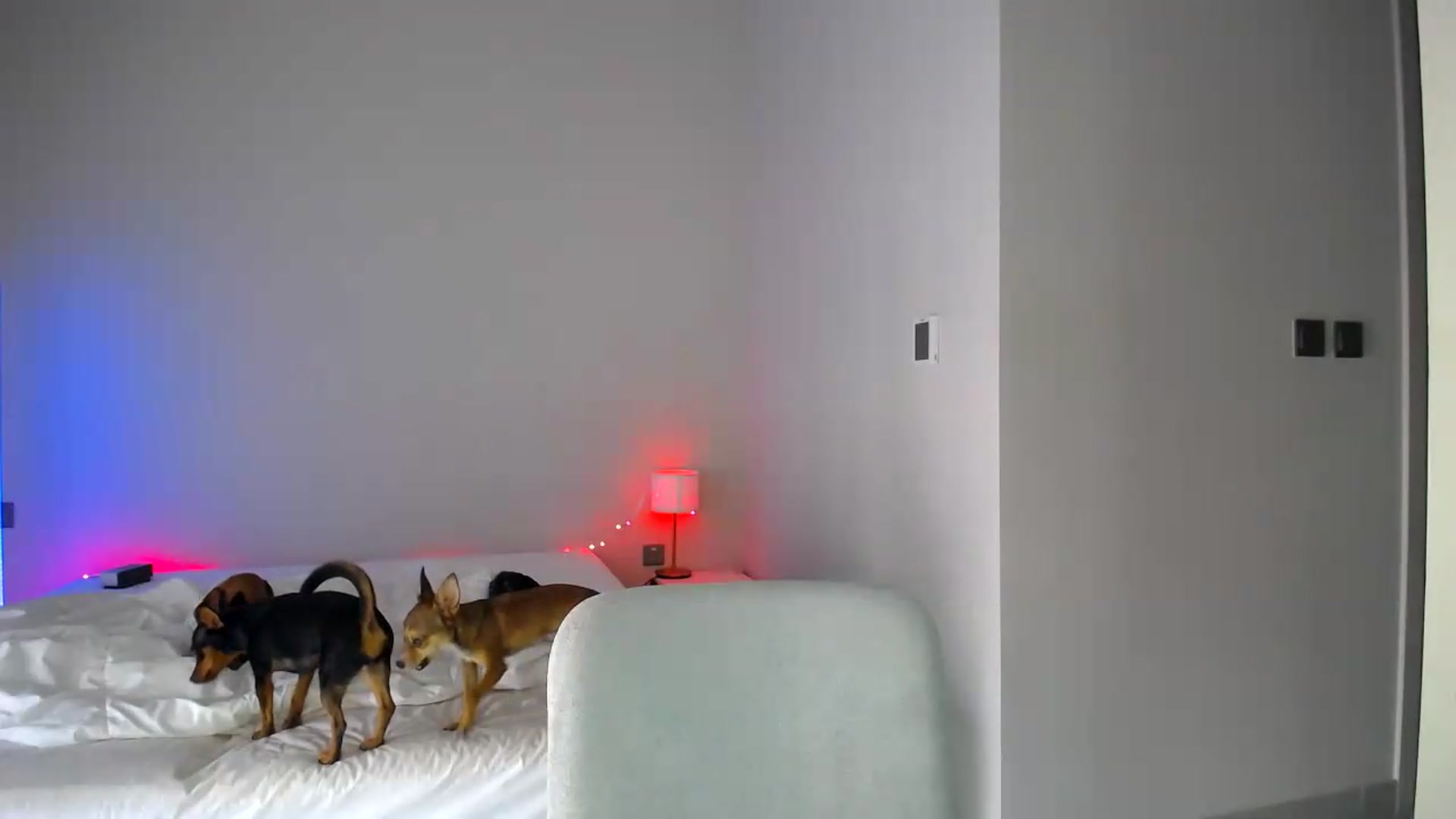 Gallery image thumbnail from aaaaaaaaaaaay's myfreecams stream on, 06/19/2026, 06:04 image 15 of 20