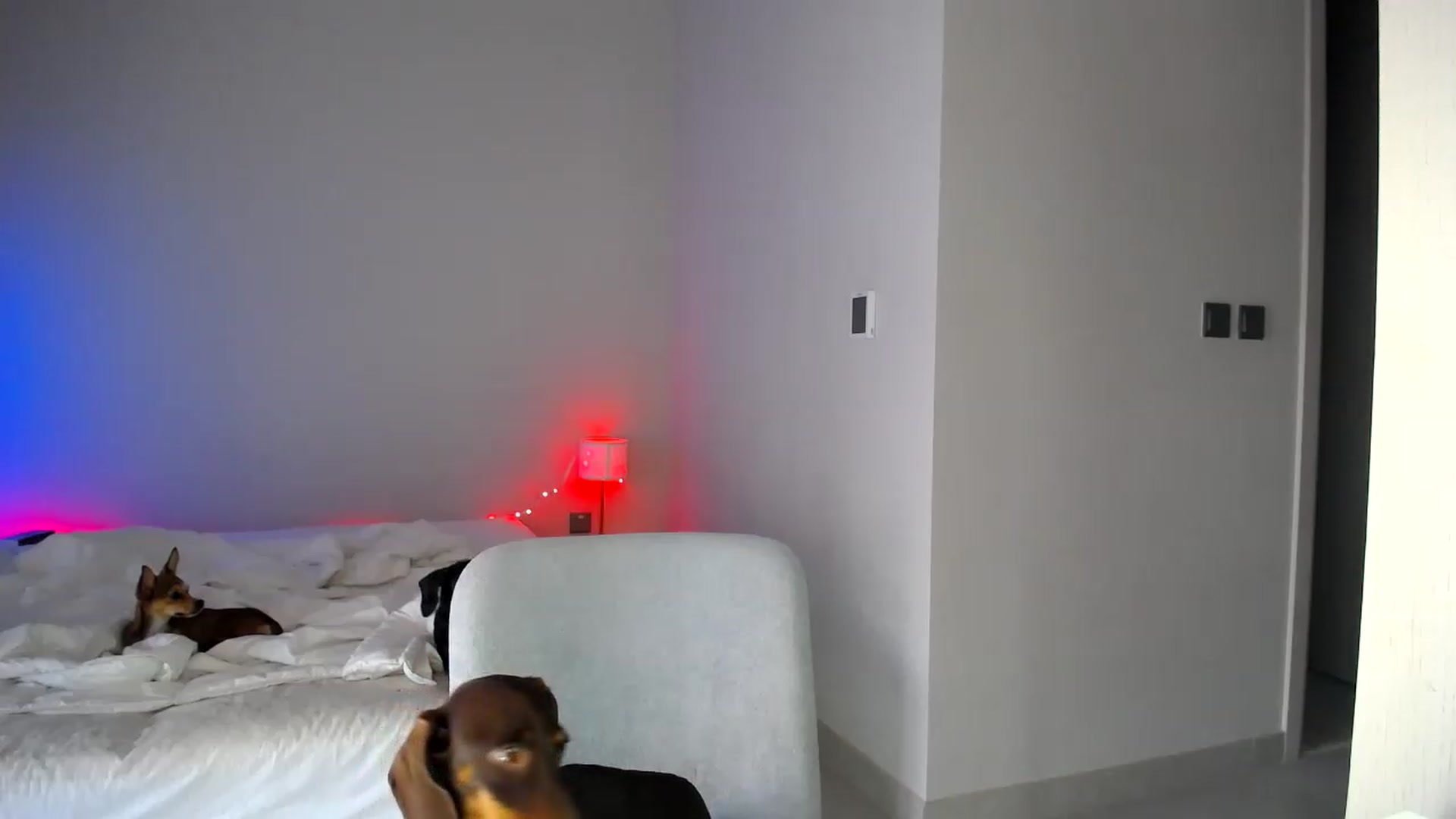 Gallery image thumbnail from aaaaaaaaaaaay's myfreecams stream on, 06/29/2026, 05:46 image 5 of 20