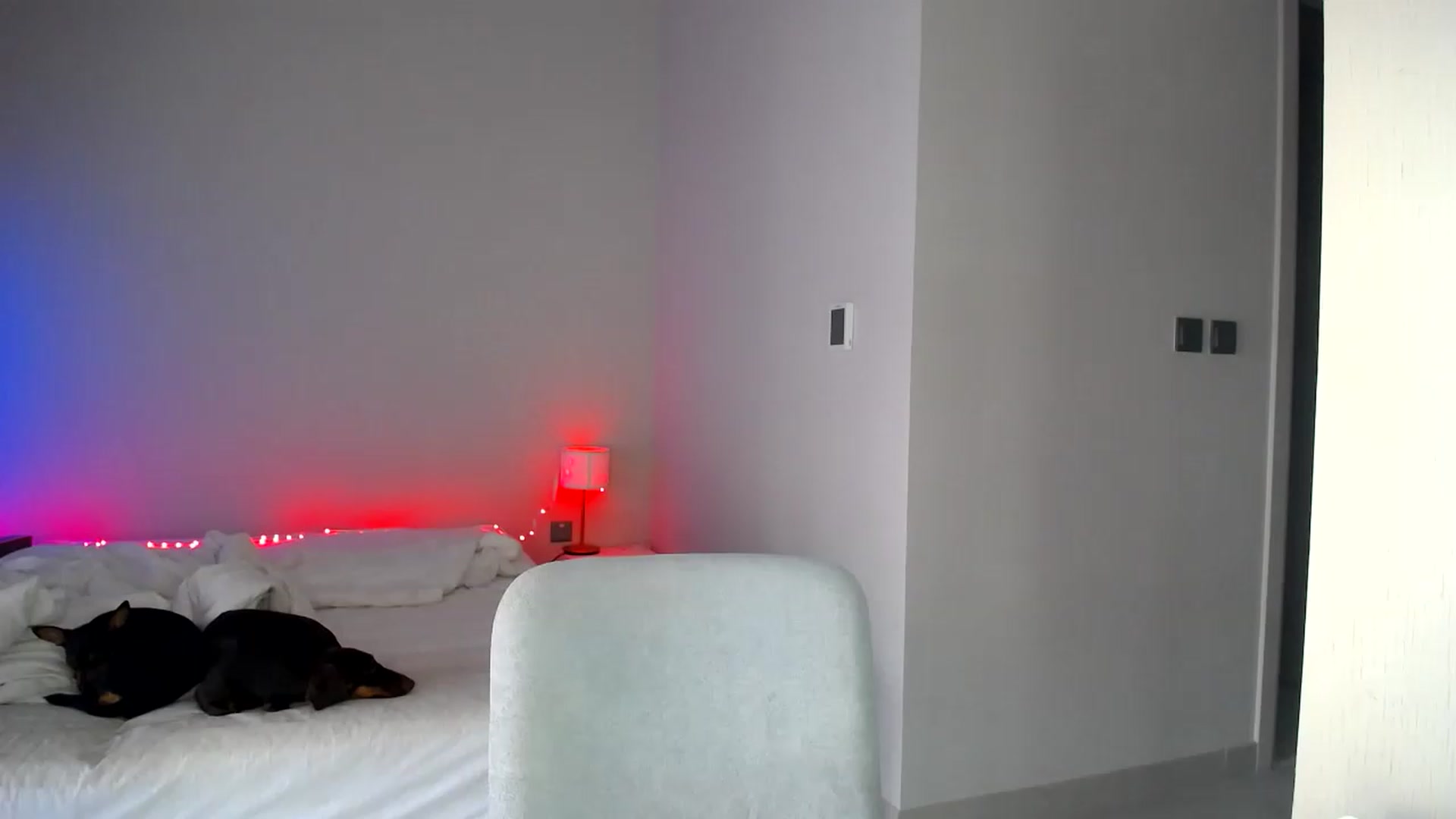 Gallery image thumbnail from aaaaaaaaaaaay's myfreecams stream on, 07/01/2026, 05:59 image 2 of 20