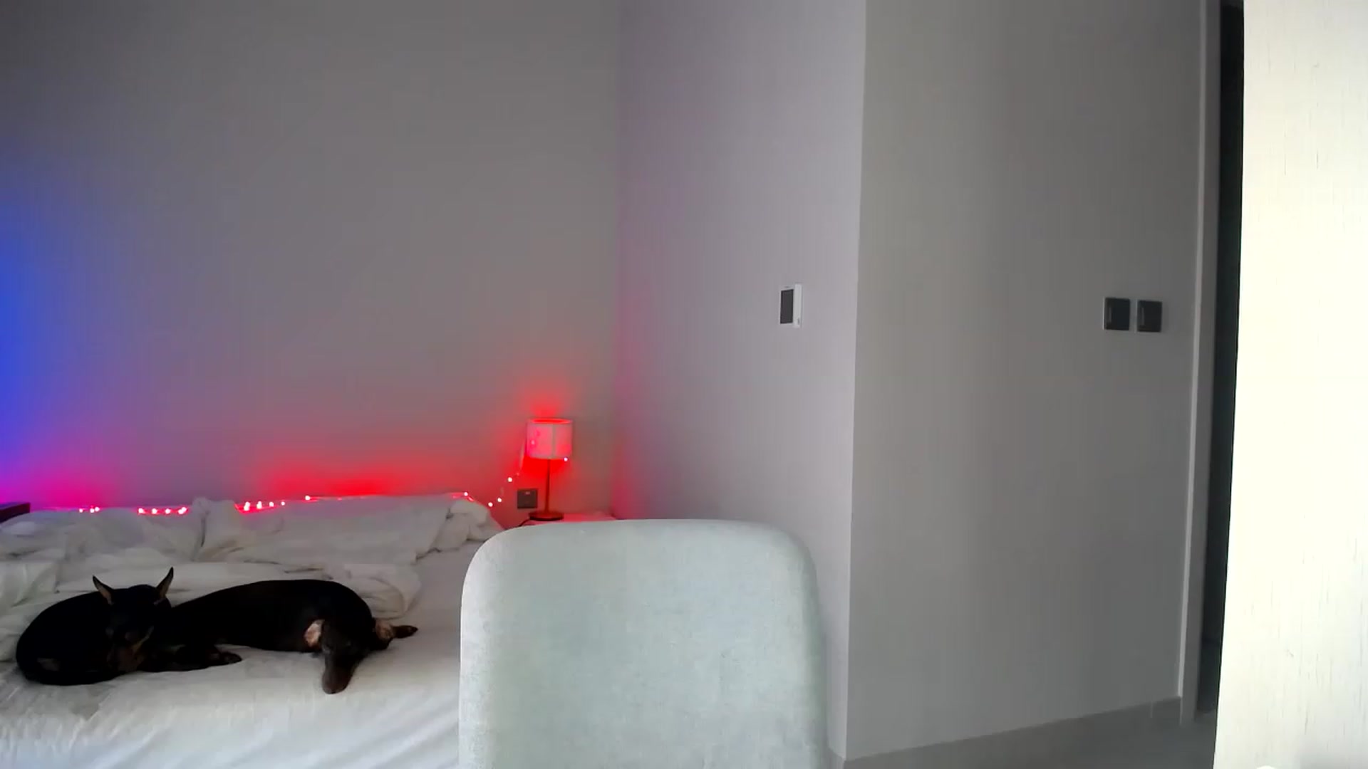 Gallery image thumbnail from aaaaaaaaaaaay's myfreecams stream on, 07/01/2026, 05:59 image 1 of 20