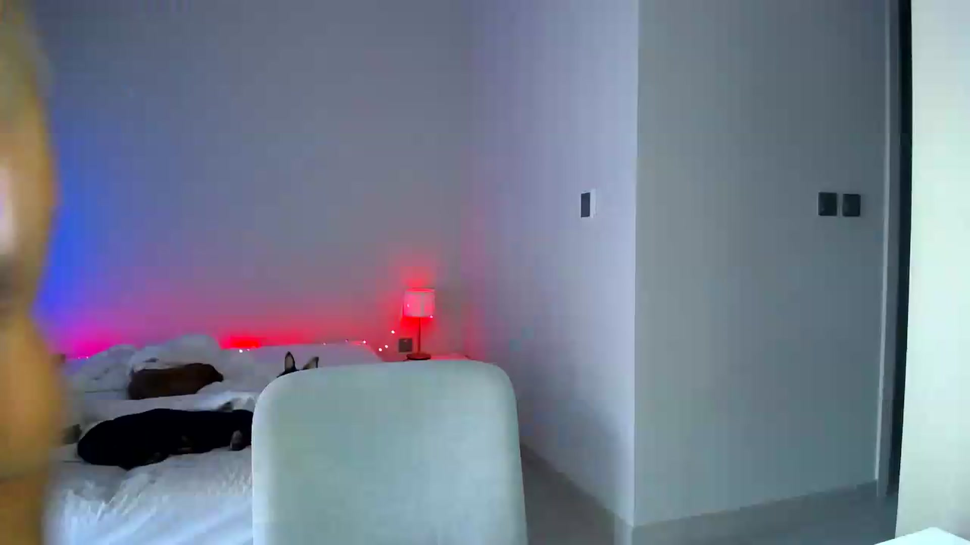 Gallery image thumbnail from aaaaaaaaaaaay's myfreecams stream on, 07/03/2026, 05:19 image 20 of 20