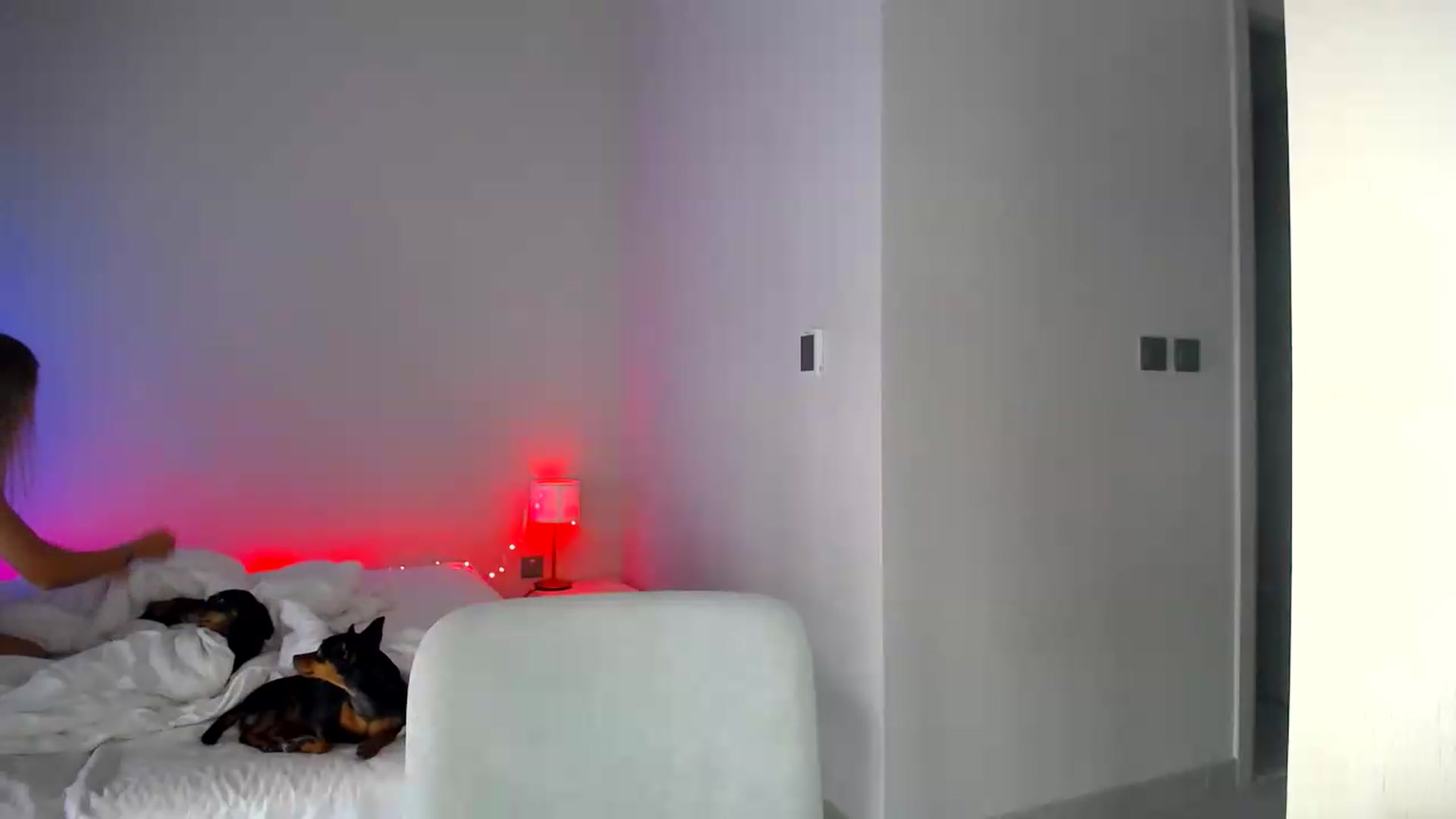 Gallery image thumbnail from aaaaaaaaaaaay's myfreecams stream on, 07/03/2026, 06:00 image 7 of 20