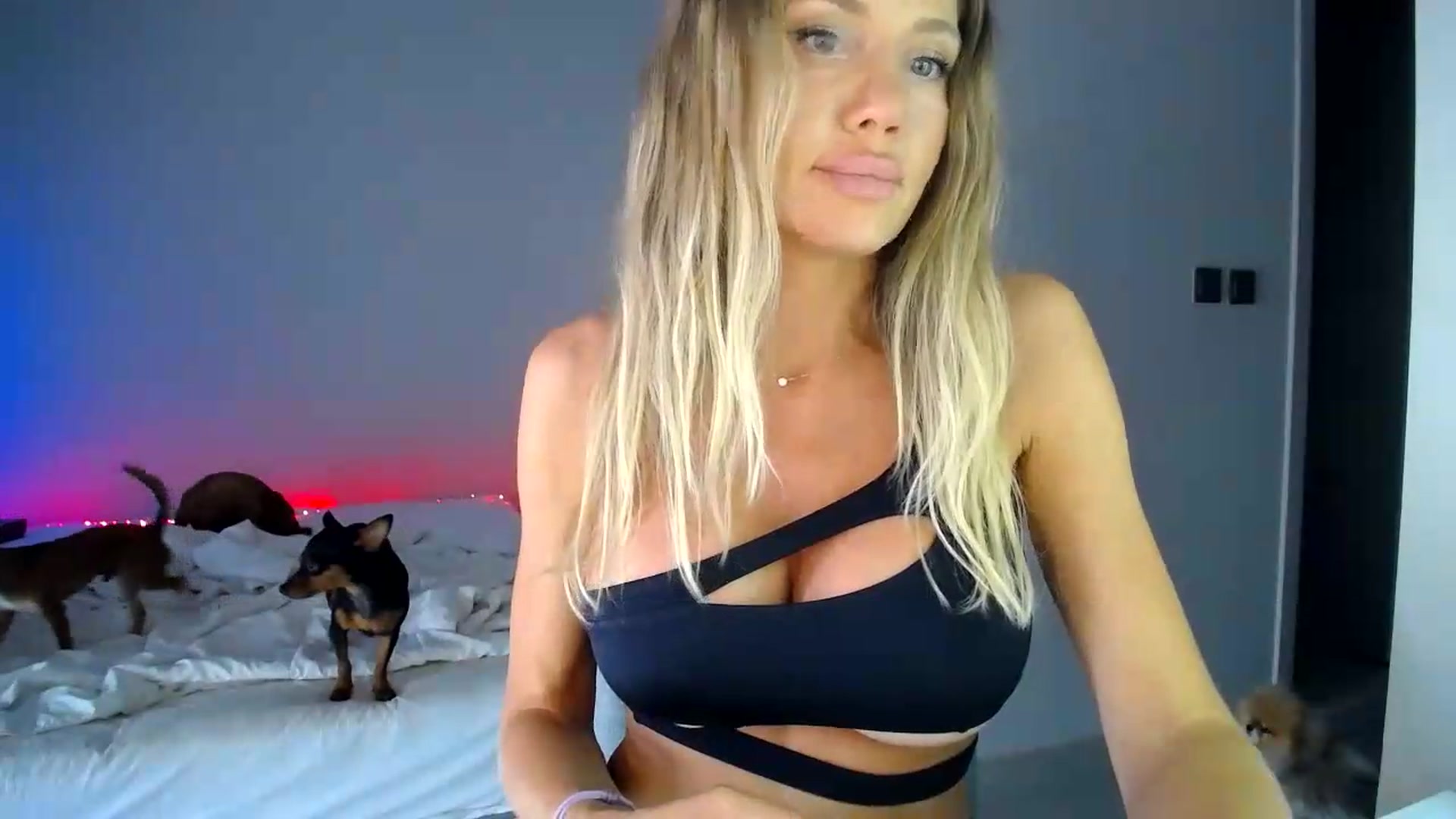 Gallery image thumbnail from aaaaaaaaaaaay's myfreecams stream on, 07/04/2026, 07:52 image 16 of 20