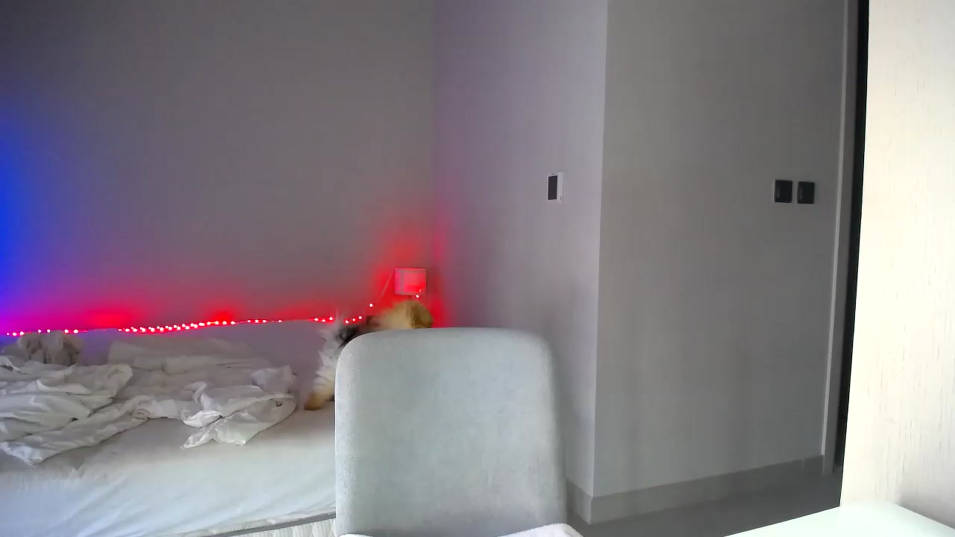 Gallery image thumbnail from aaaaaaaaaaaay's myfreecams stream on, 07/06/2026, 05:51 image 1 of 20