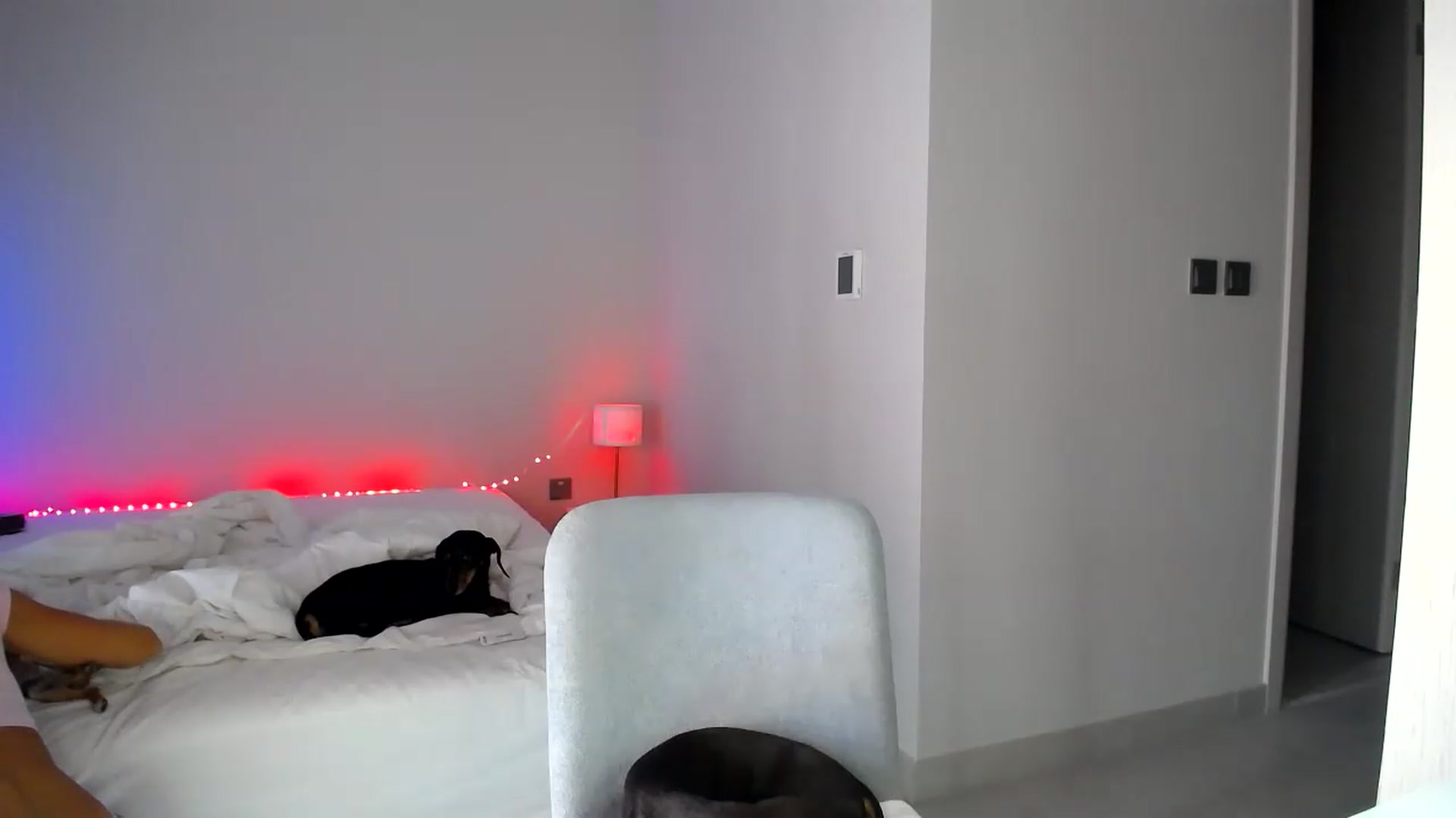 Gallery image thumbnail from aaaaaaaaaaaay's myfreecams stream on, 07/18/2026, 08:06 image 6 of 20